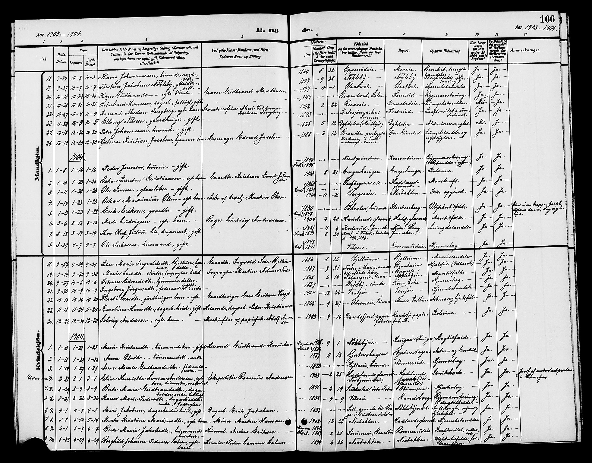 Jevnaker prestekontor, SAH/PREST-116/H/Ha/Hab/L0002: Parish register (copy) no. 2, 1896-1906, p. 166