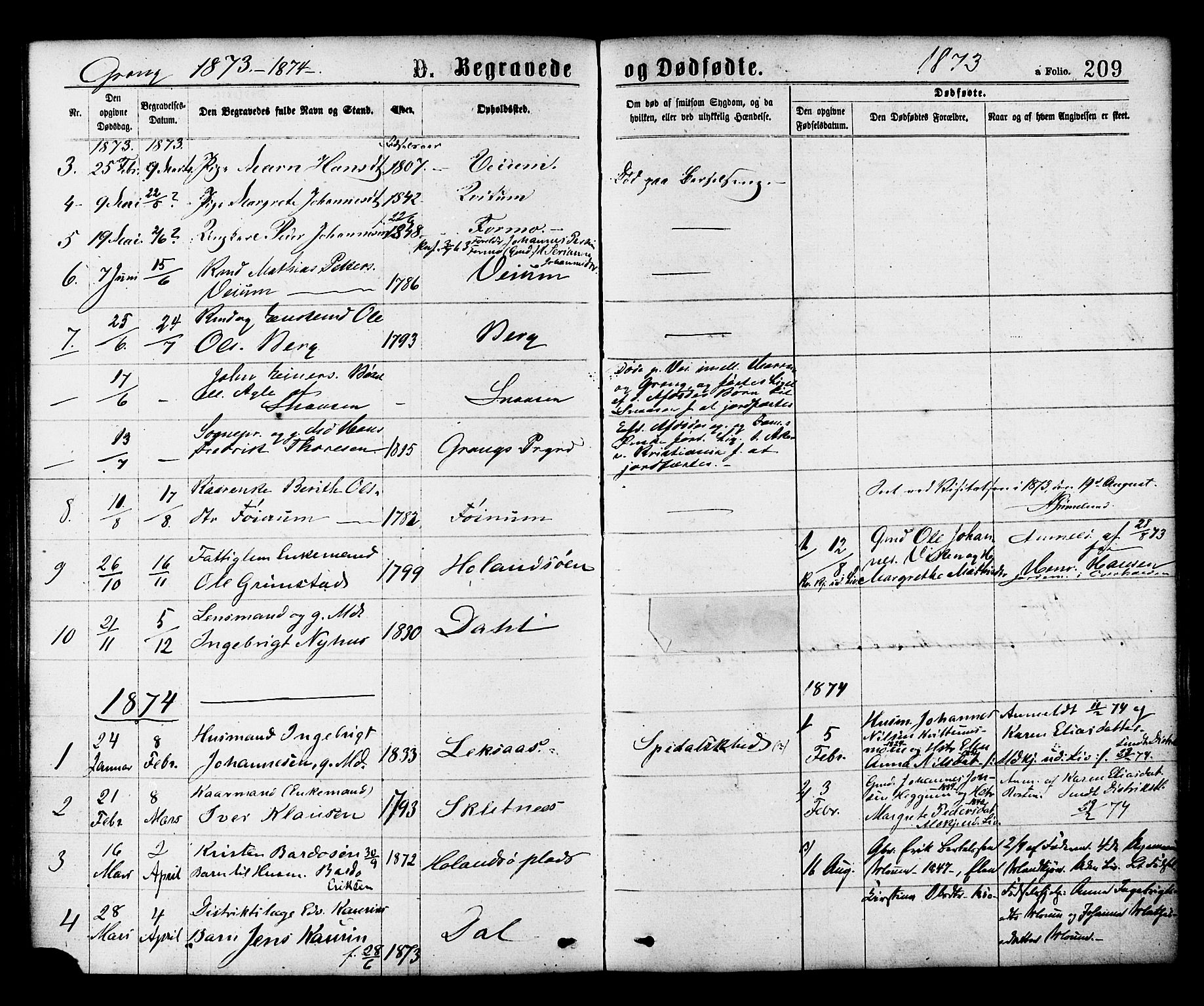 Ministerialprotokoller, klokkerbøker og fødselsregistre - Nord-Trøndelag, SAT/A-1458/758/L0516: Parish register (official) no. 758A03 /1, 1869-1879, p. 209