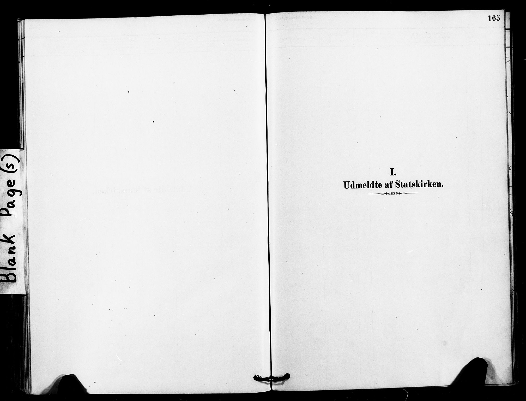 Ministerialprotokoller, klokkerbøker og fødselsregistre - Sør-Trøndelag, SAT/A-1456/641/L0595: Parish register (official) no. 641A01, 1882-1897, p. 165