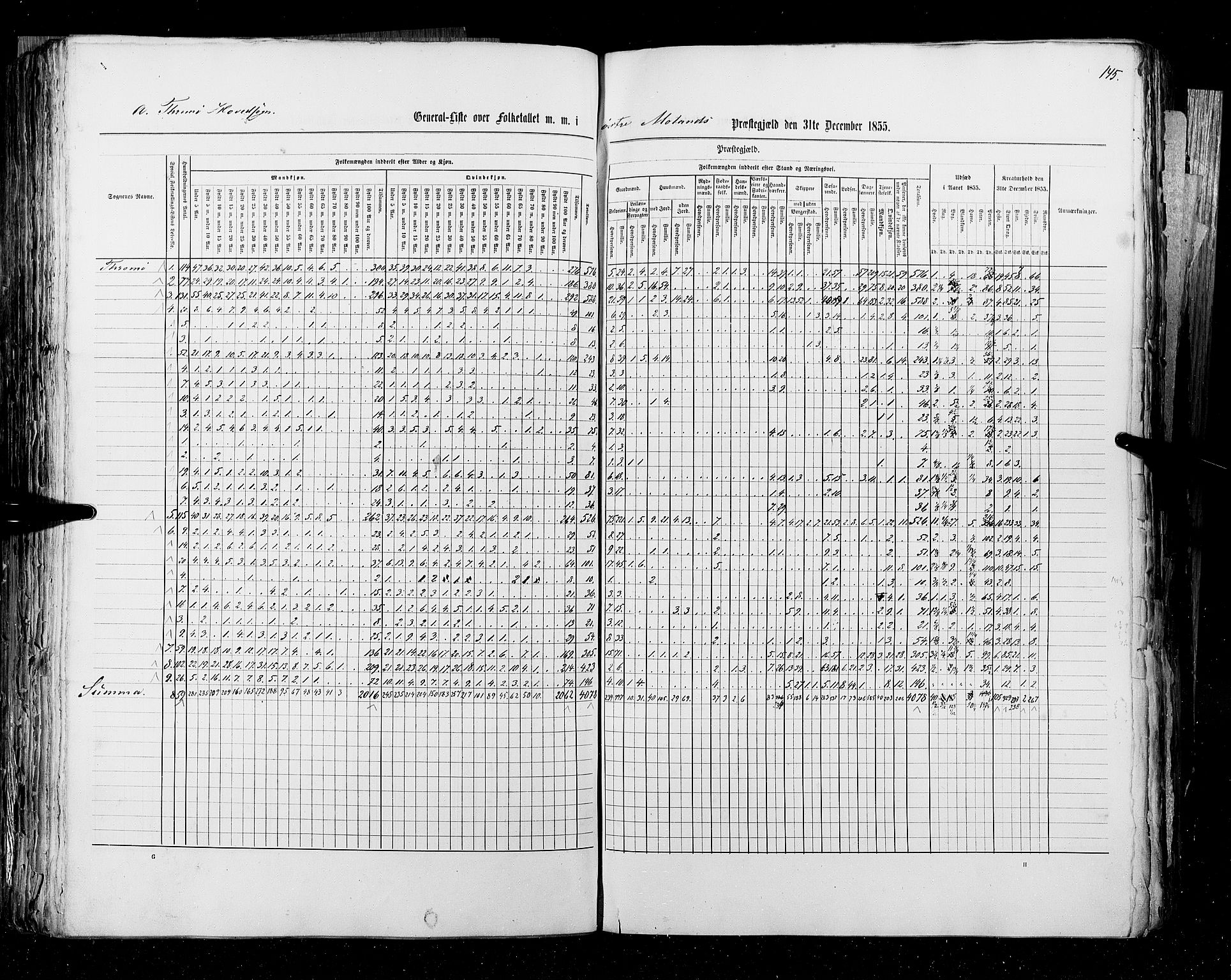 RA, Census 1855, vol. 3: Bratsberg amt, Nedenes amt og Lister og Mandal amt, 1855, p. 145