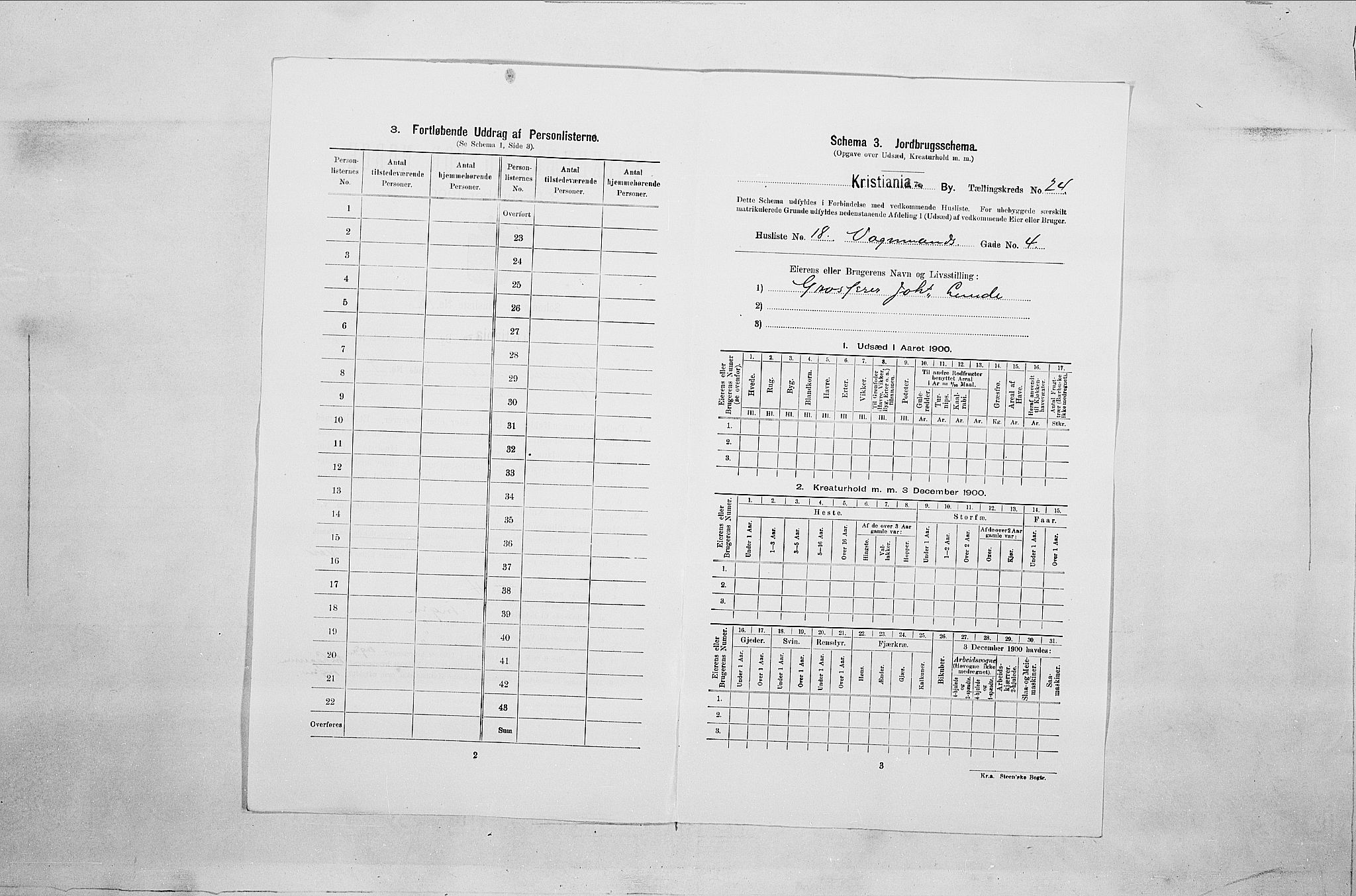 SAO, 1900 census for Kristiania, 1900, p. 113613