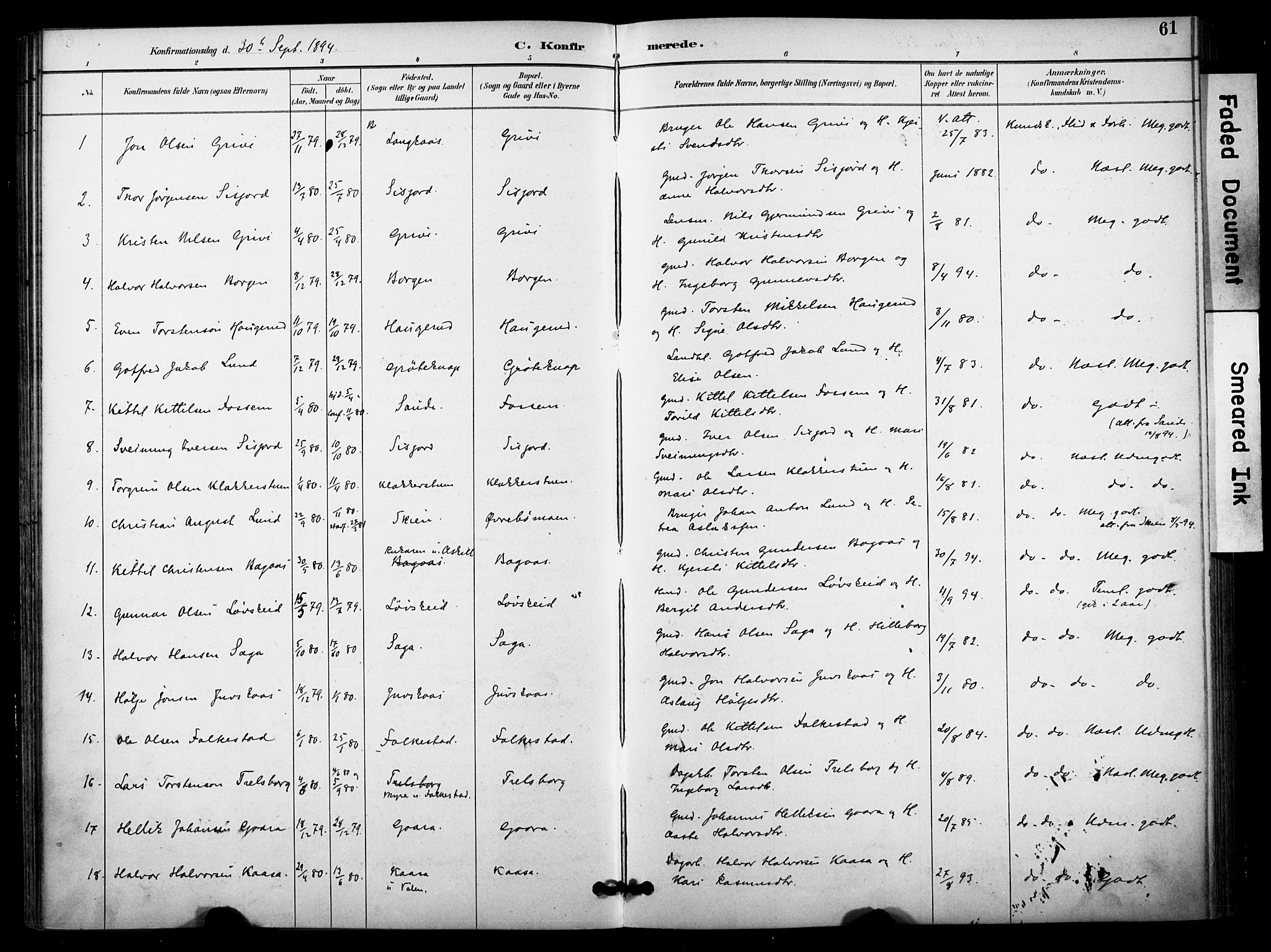 Bø kirkebøker, SAKO/A-257/F/Fa/L0011: Parish register (official) no. 11, 1892-1900, p. 61