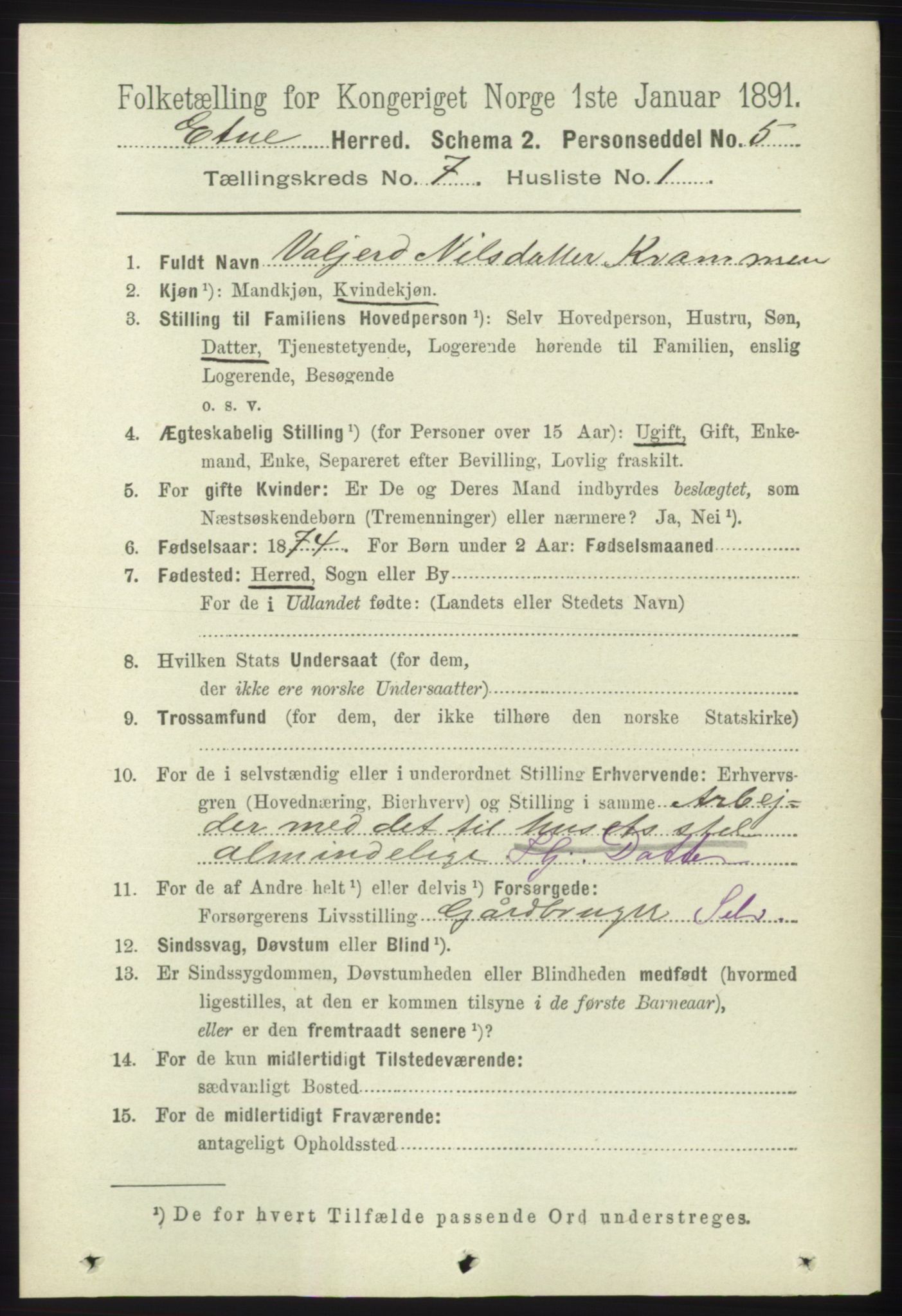 RA, 1891 census for 1211 Etne, 1891, p. 1396