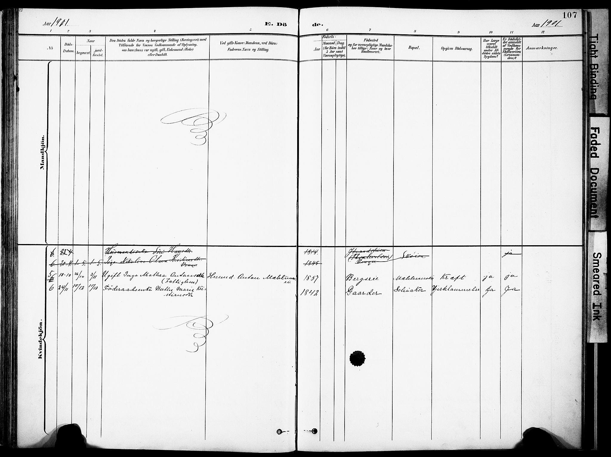Nordre Land prestekontor, SAH/PREST-124/H/Ha/Haa/L0006: Parish register (official) no. 6, 1897-1914, p. 107