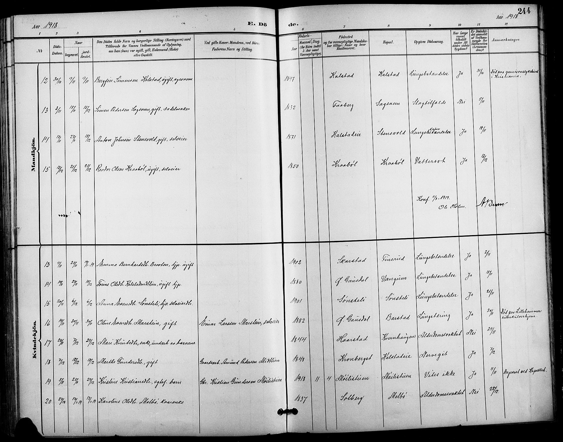 Vestre Gausdal prestekontor, SAH/PREST-094/H/Ha/Hab/L0003: Parish register (copy) no. 3, 1896-1925, p. 244