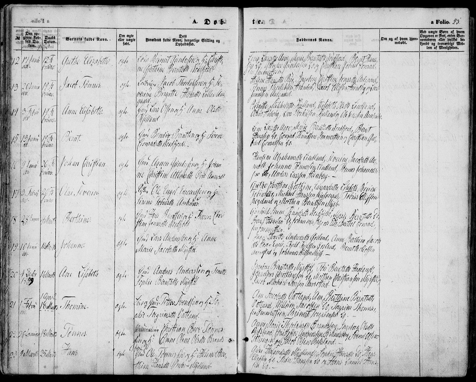 Sokndal sokneprestkontor, AV/SAST-A-101808: Parish register (official) no. A 9, 1857-1874, p. 25