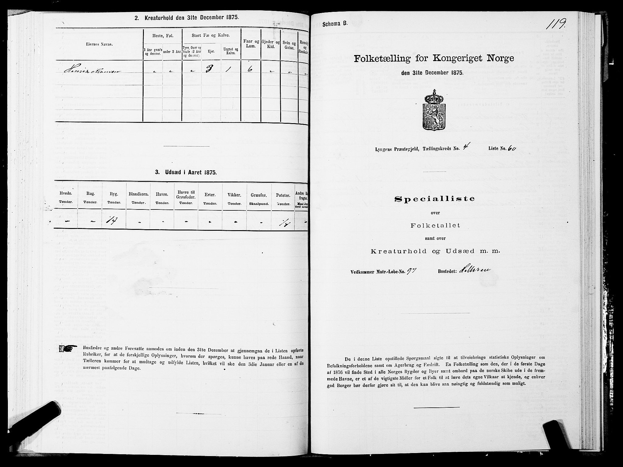 SATØ, 1875 census for 1938P Lyngen, 1875, p. 4119