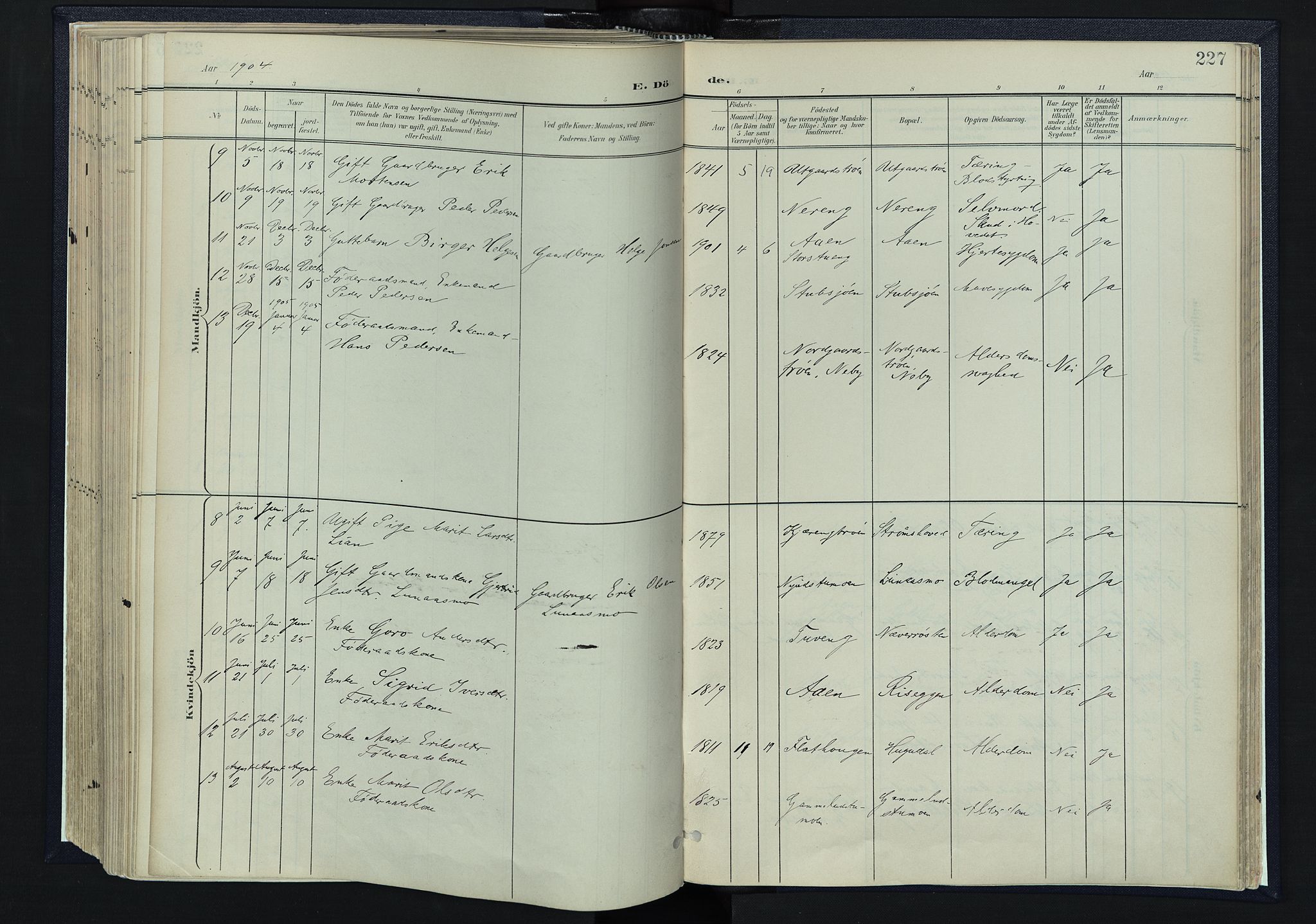 Tynset prestekontor, SAH/PREST-058/H/Ha/Haa/L0025: Parish register (official) no. 25, 1900-1914, p. 227