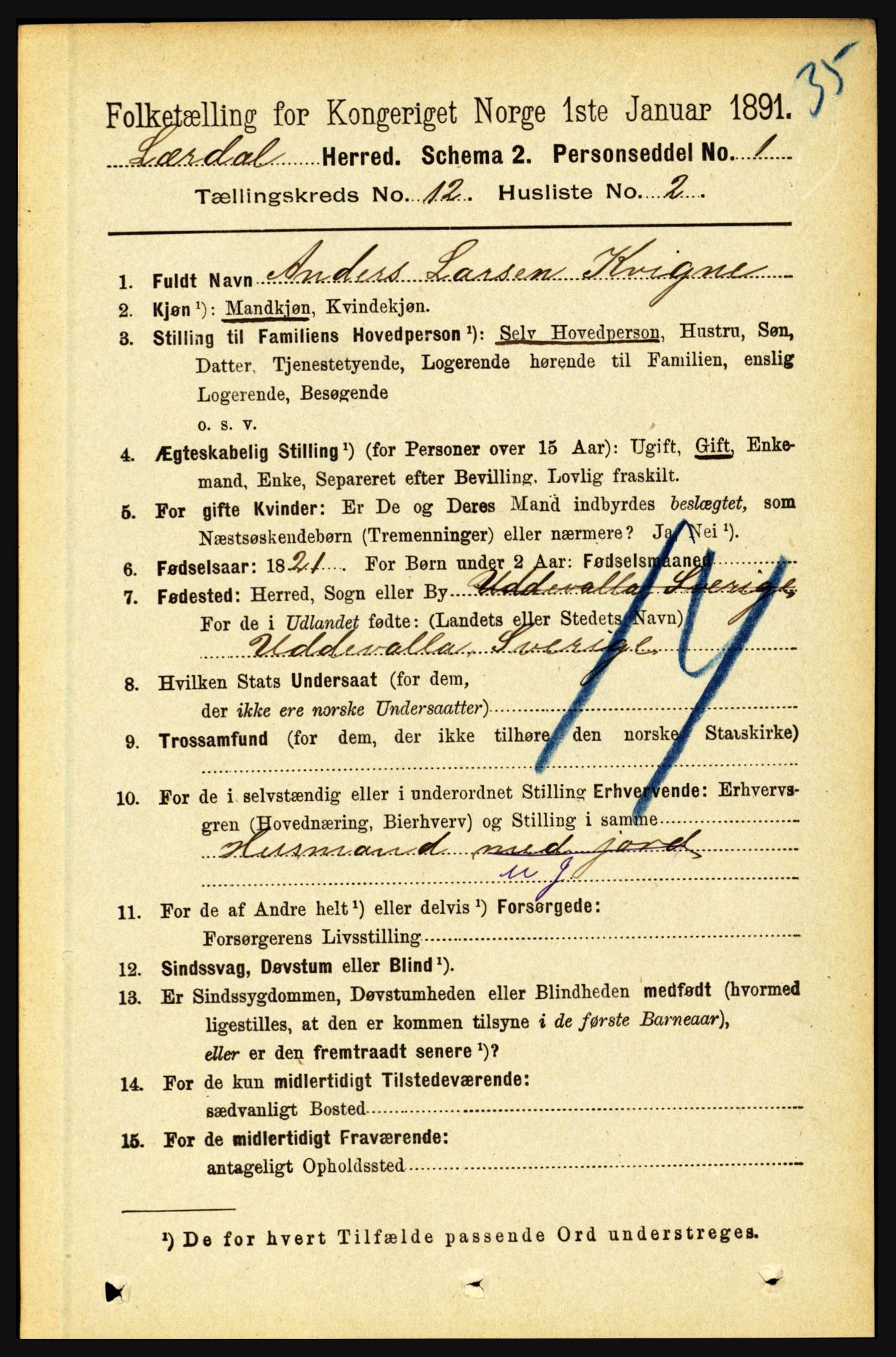 RA, 1891 census for 1422 Lærdal, 1891, p. 2562