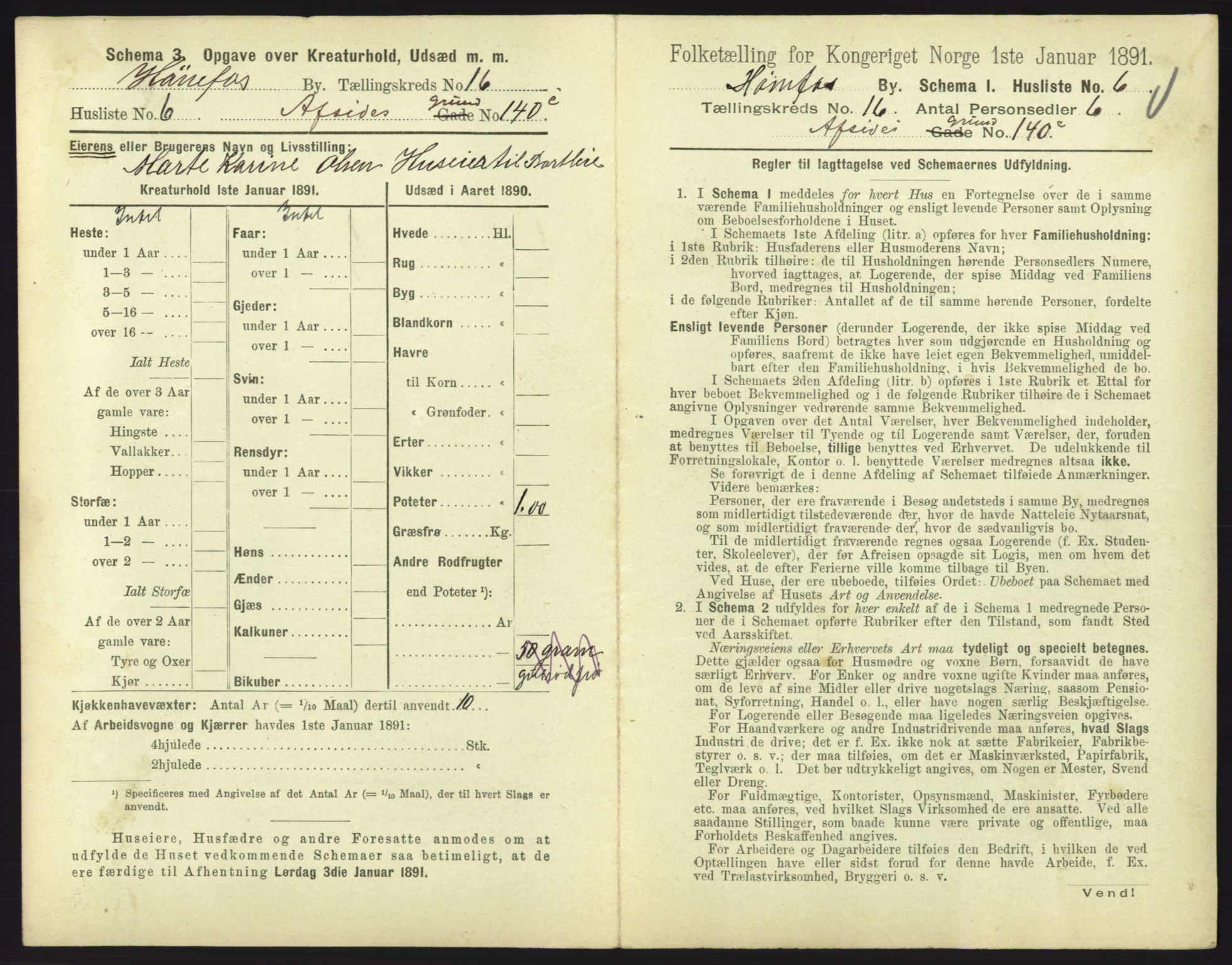 RA, 1891 census for 0601 Hønefoss, 1891, p. 349