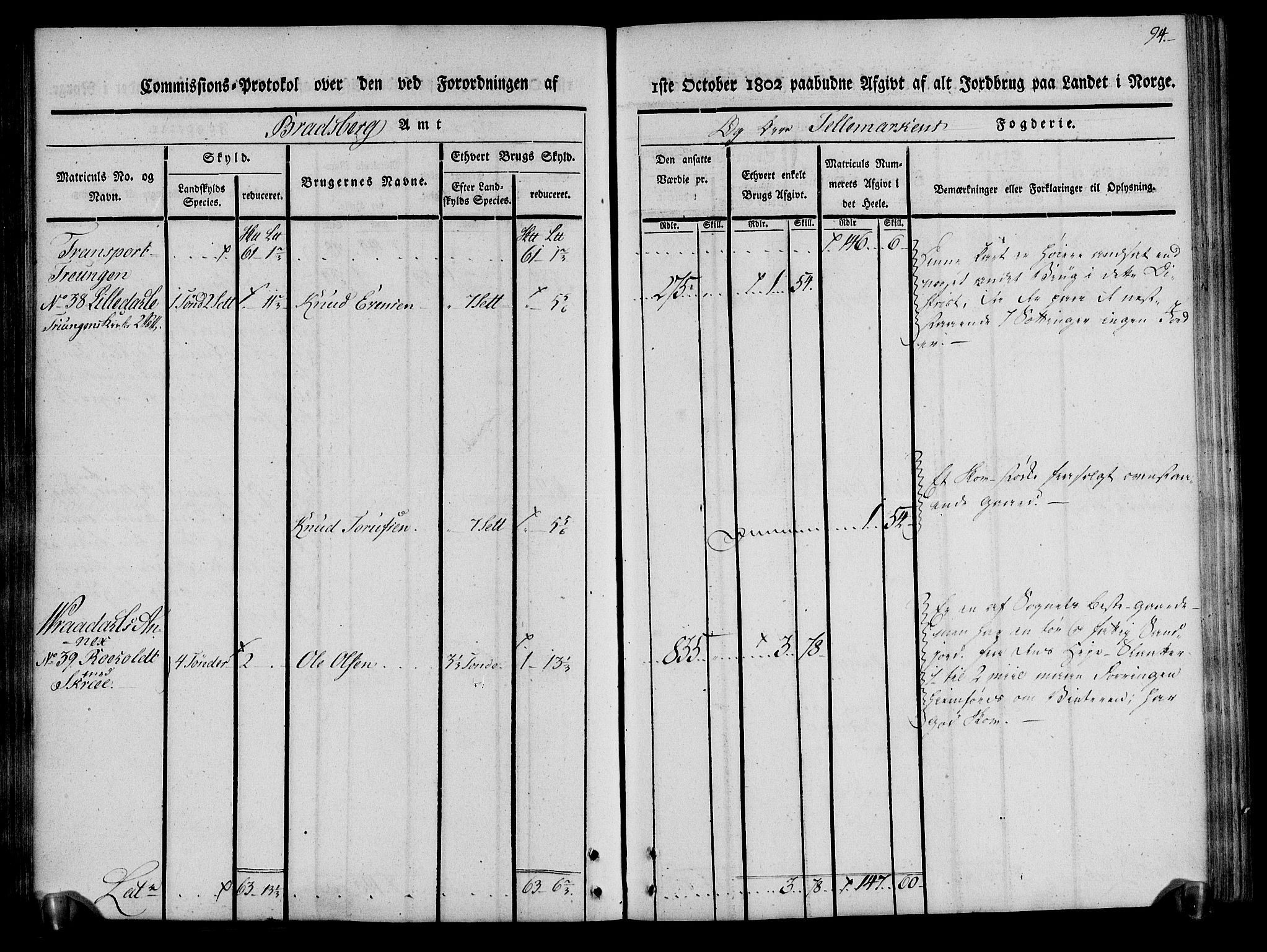 Rentekammeret inntil 1814, Realistisk ordnet avdeling, RA/EA-4070/N/Ne/Nea/L0075: Øvre Telemarken fogderi. Kommisjonsprotokoll for fogderiets vestre del - Kviteseid, Vinje, Moland [):Fyresdal] og Lårdal prestegjeld., 1803, p. 94