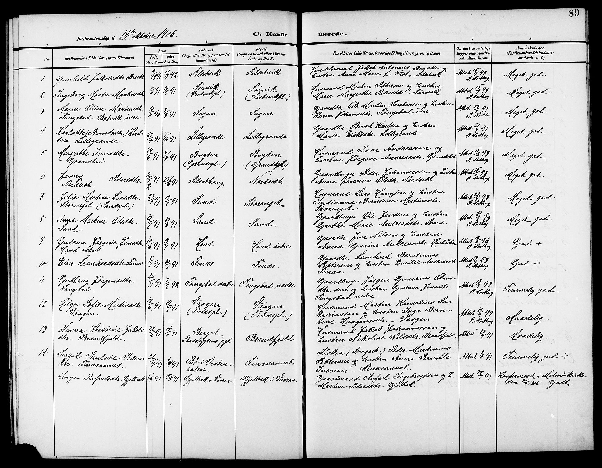 Ministerialprotokoller, klokkerbøker og fødselsregistre - Nord-Trøndelag, SAT/A-1458/744/L0424: Parish register (copy) no. 744C03, 1906-1923, p. 89