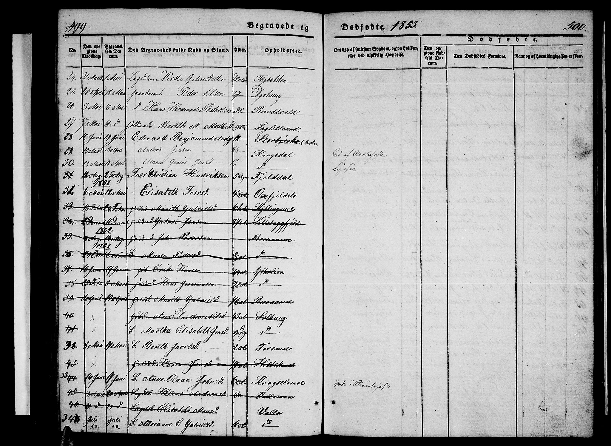 Ministerialprotokoller, klokkerbøker og fødselsregistre - Nordland, AV/SAT-A-1459/825/L0364: Parish register (copy) no. 825C01, 1841-1863, p. 499-500