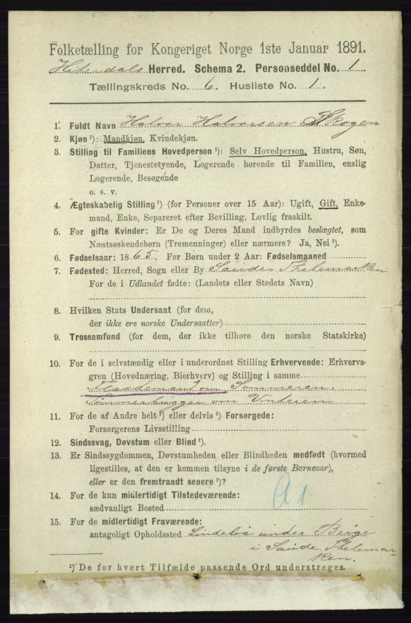 RA, 1891 census for 0823 Heddal, 1891, p. 2593