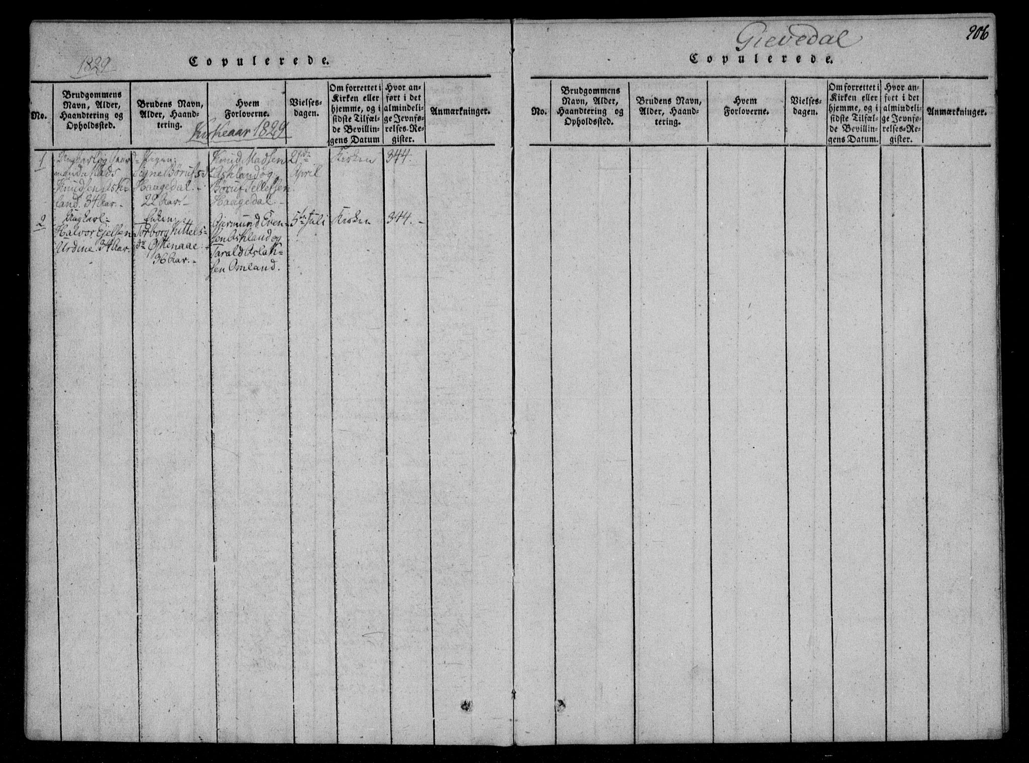 Åmli sokneprestkontor, AV/SAK-1111-0050/F/Fa/Fac/L0006: Parish register (official) no. A 6, 1816-1829, p. 206