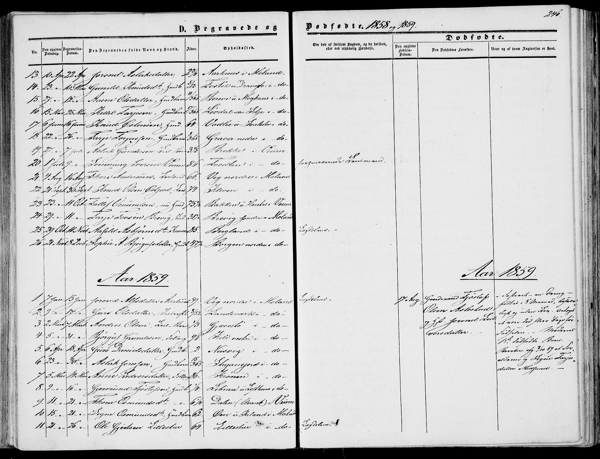 Fyresdal kirkebøker, SAKO/A-263/F/Fa/L0005: Parish register (official) no. I 5, 1855-1871, p. 246