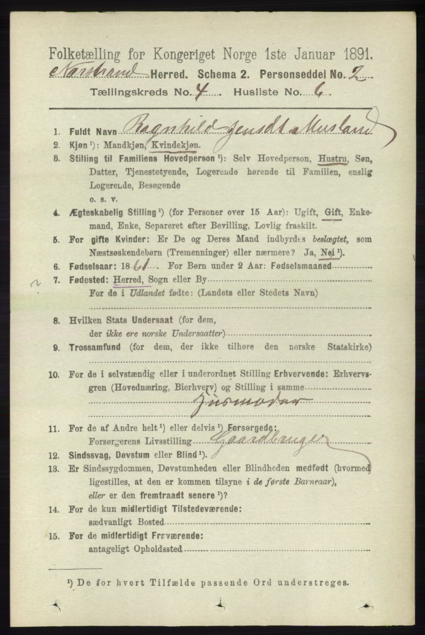 RA, 1891 census for 1139 Nedstrand, 1891, p. 675