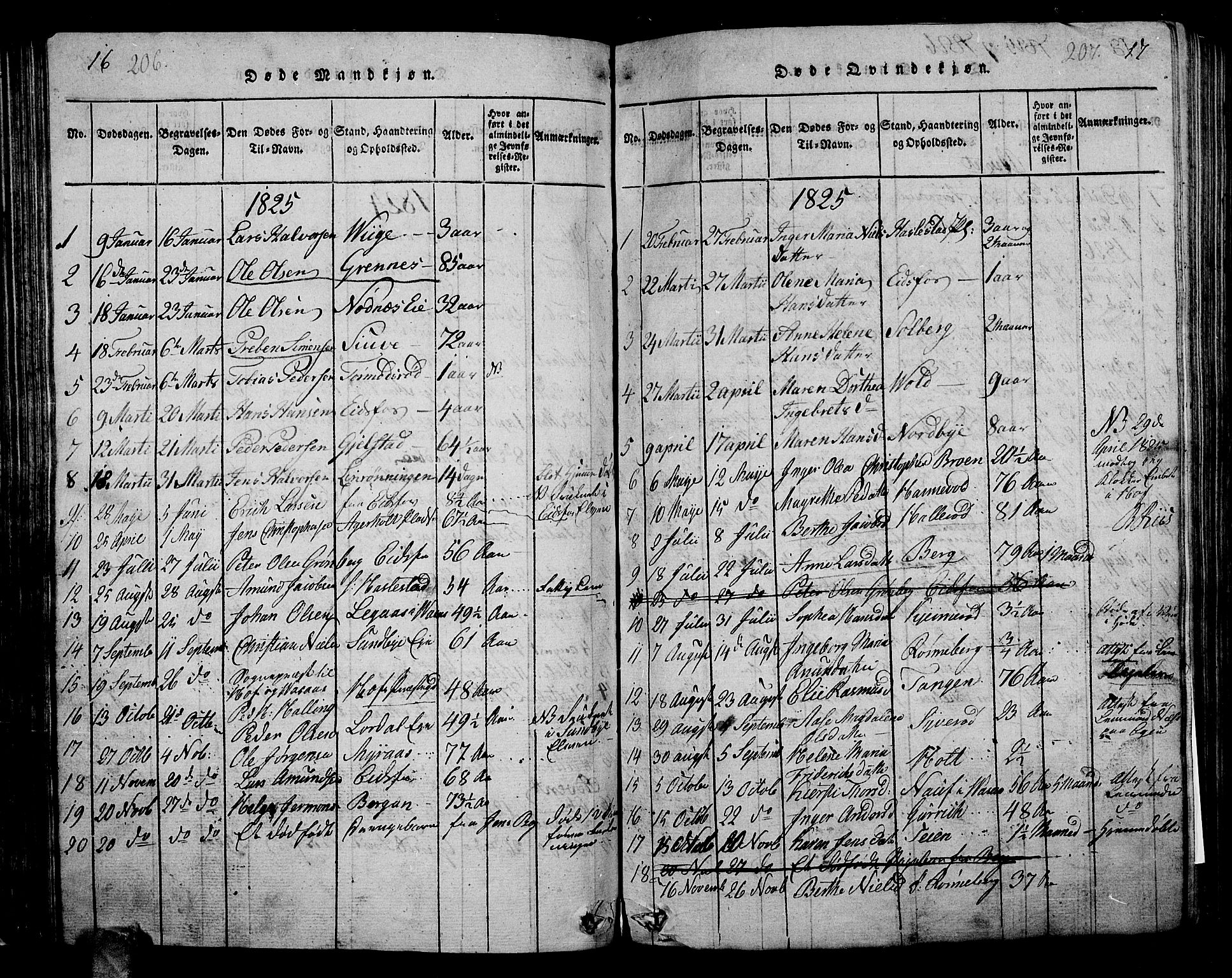 Hof kirkebøker, AV/SAKO-A-64/G/Ga/L0001: Parish register (copy) no. I 1, 1814-1844, p. 206-207