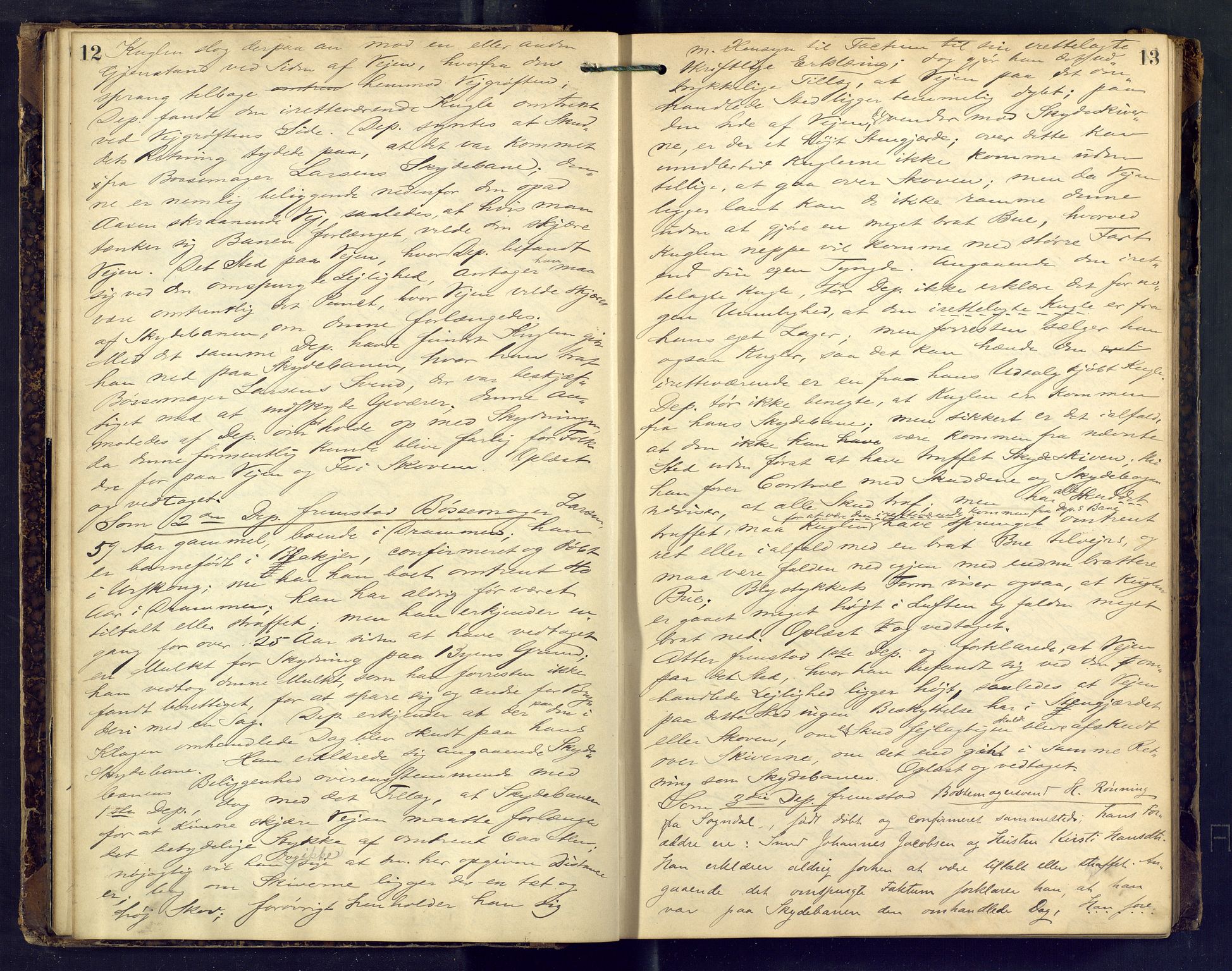Nordre Jarlsberg sorenskriveri, AV/SAKO-A-80/F/Fb/Fba/L0024: Ekstrarettsprotokoll, 1883-1886, p. 12-13