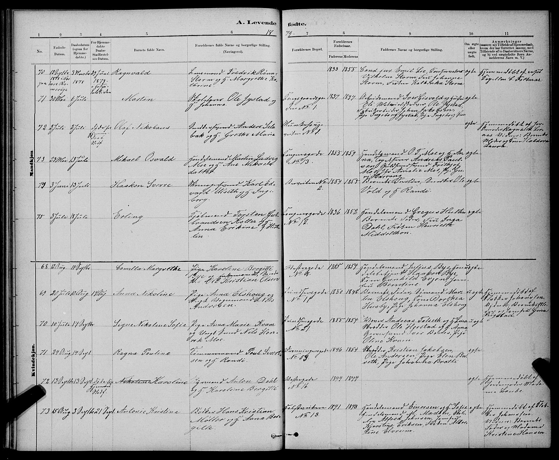 Ministerialprotokoller, klokkerbøker og fødselsregistre - Sør-Trøndelag, AV/SAT-A-1456/601/L0091: Parish register (copy) no. 601C09, 1878-1883