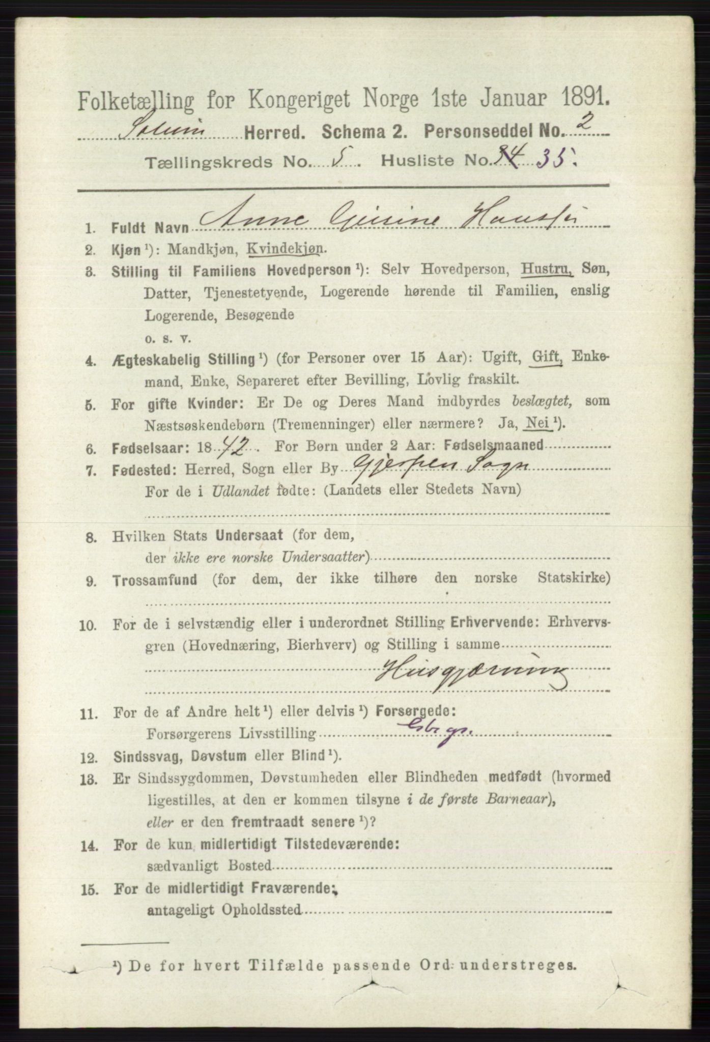 RA, 1891 census for 0818 Solum, 1891, p. 1050