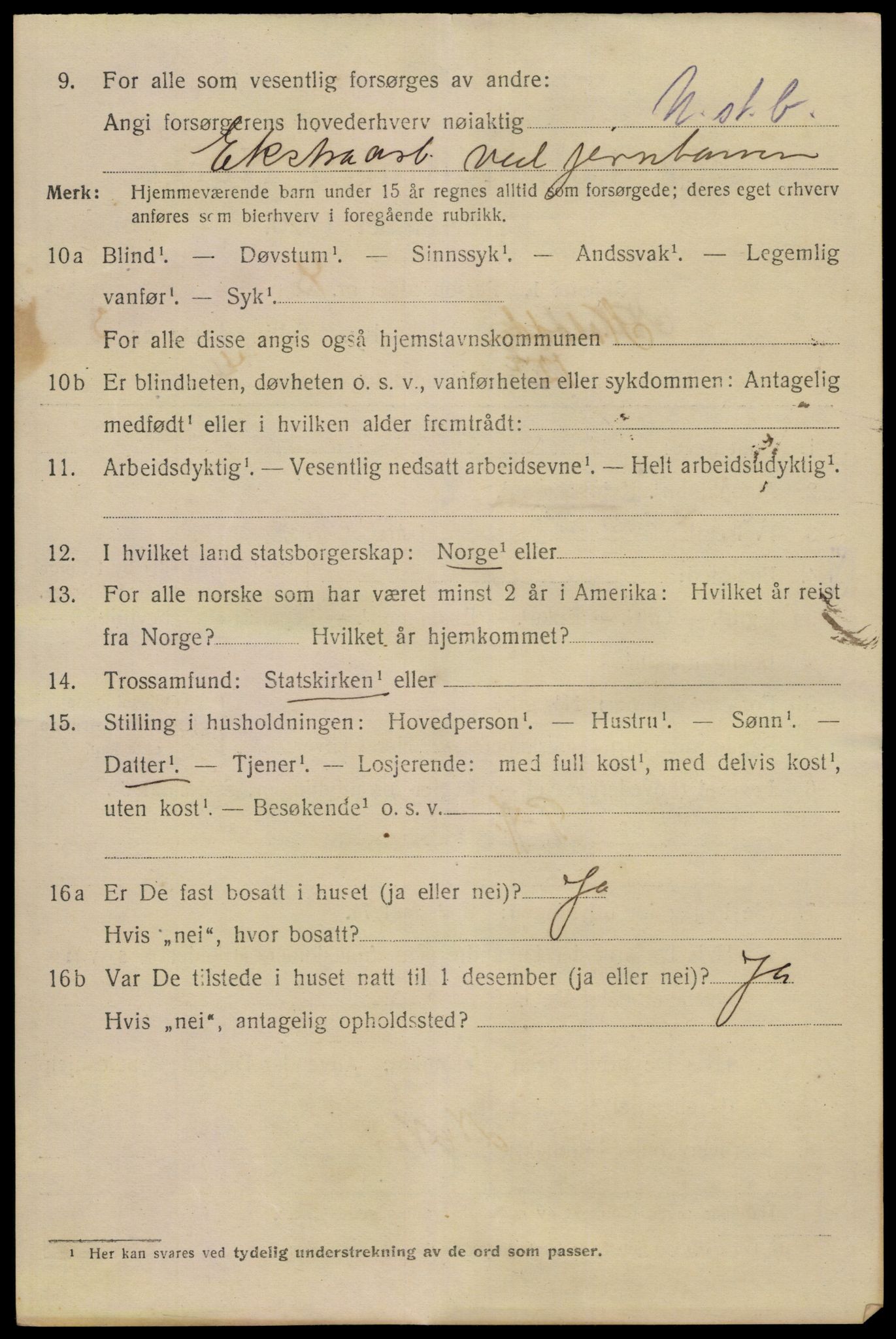 SAKO, 1920 census for Notodden, 1920, p. 9813