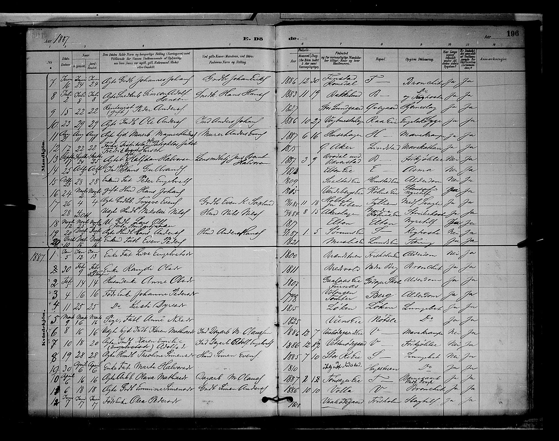 Stange prestekontor, AV/SAH-PREST-002/L/L0009: Parish register (copy) no. 9, 1883-1899, p. 196