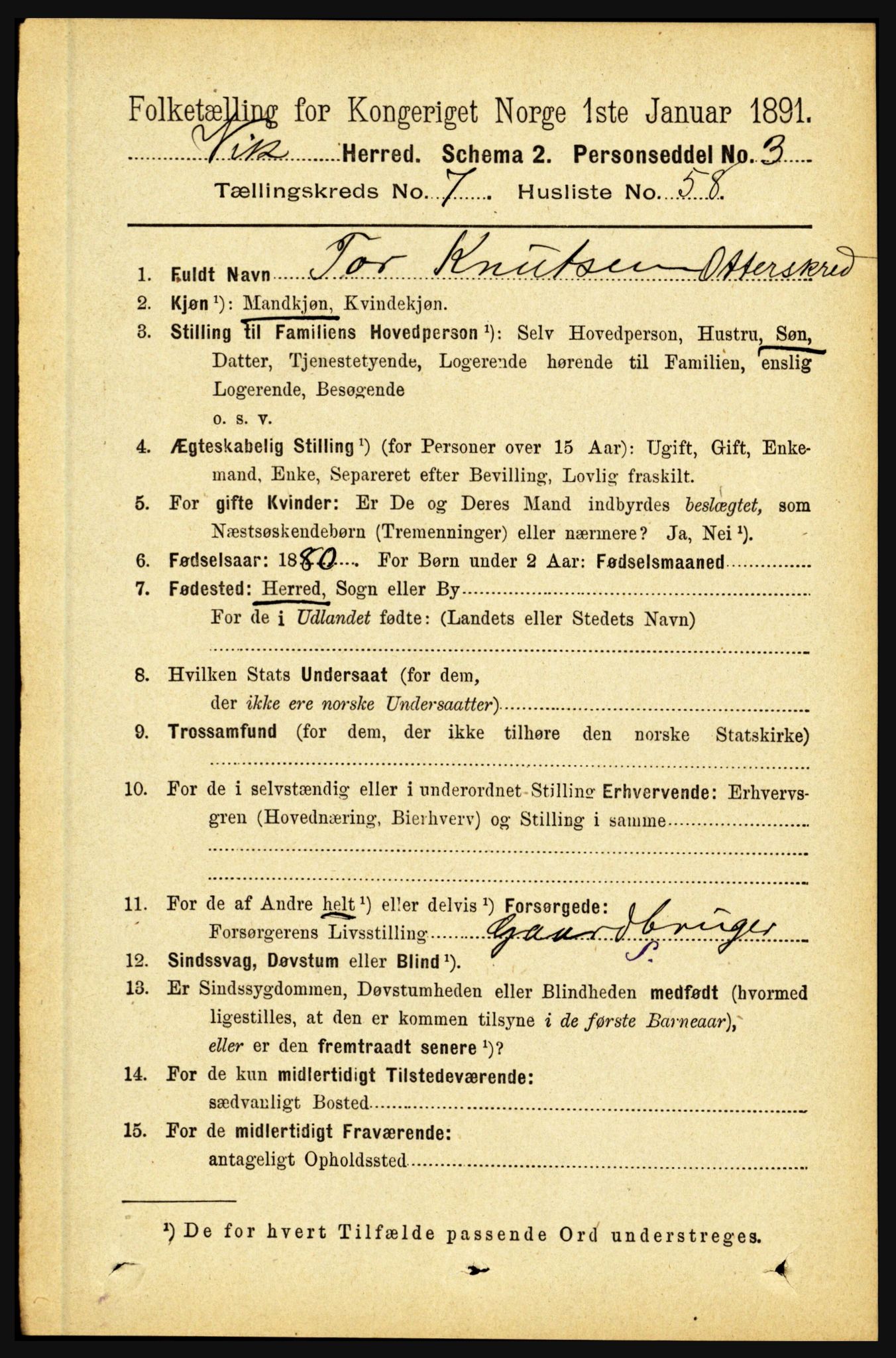 RA, 1891 census for 1417 Vik, 1891, p. 3507