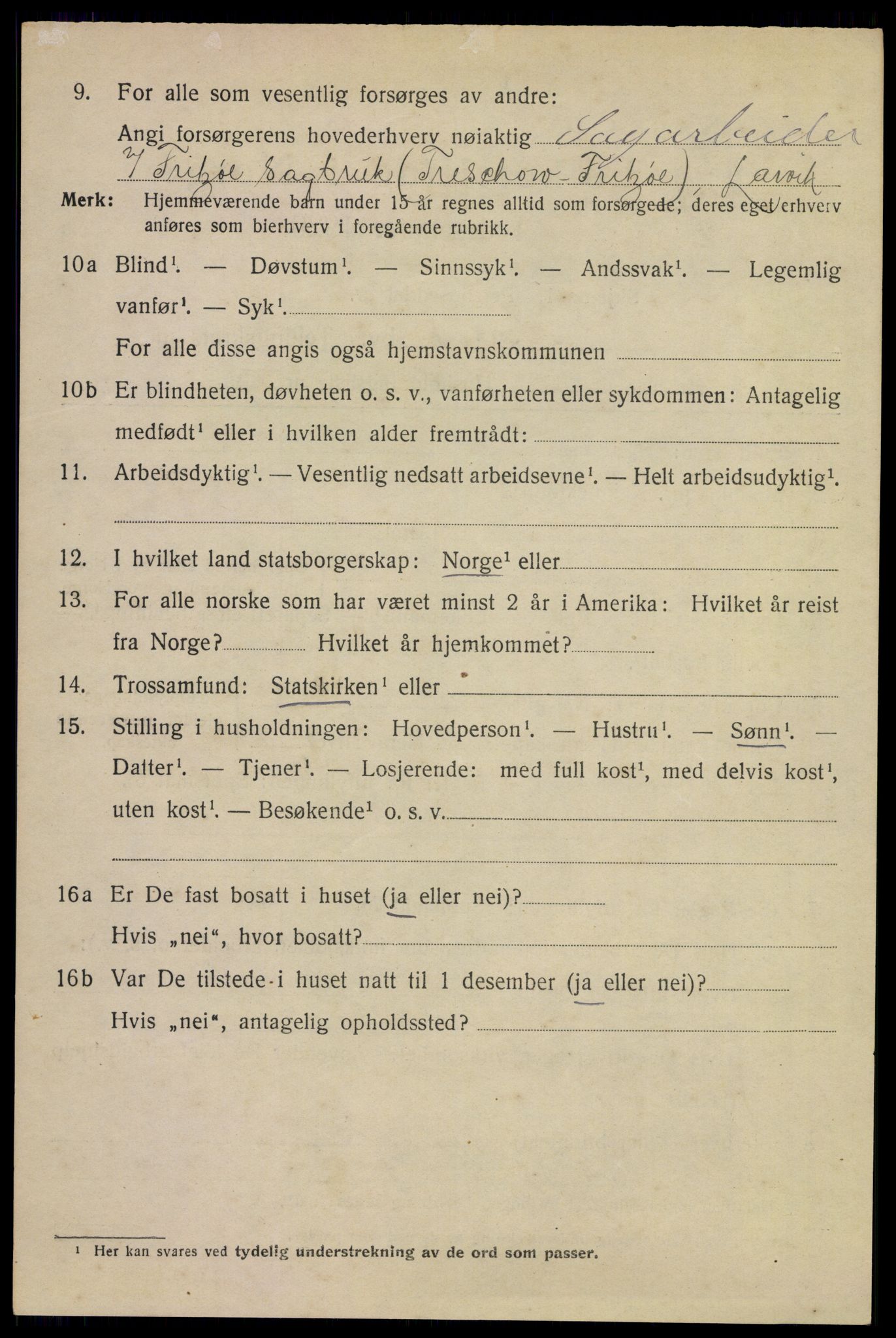 SAKO, 1920 census for Larvik, 1920, p. 13011