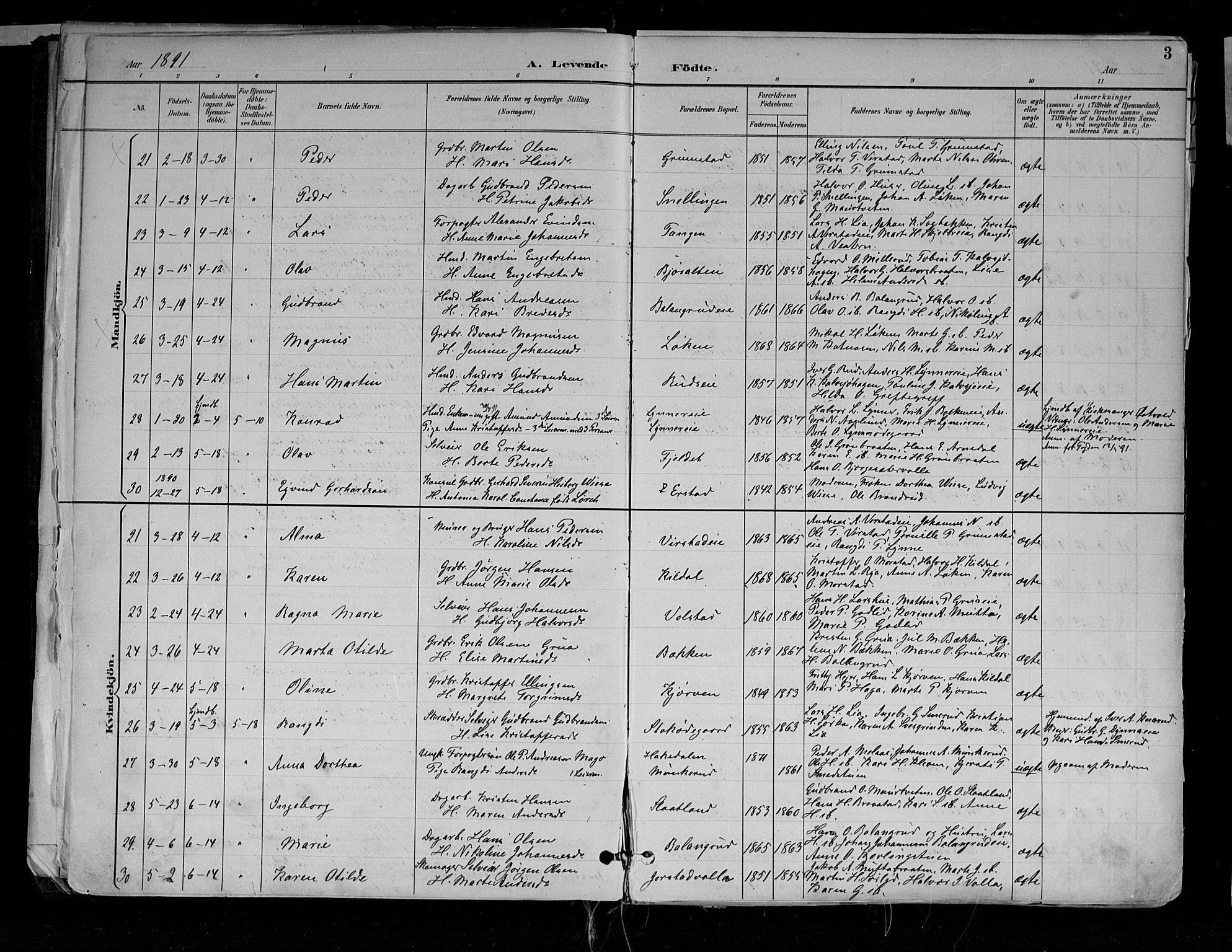 Jevnaker prestekontor, AV/SAH-PREST-116/H/Ha/Haa/L0010: Parish register (official) no. 10, 1891-1906, p. 3