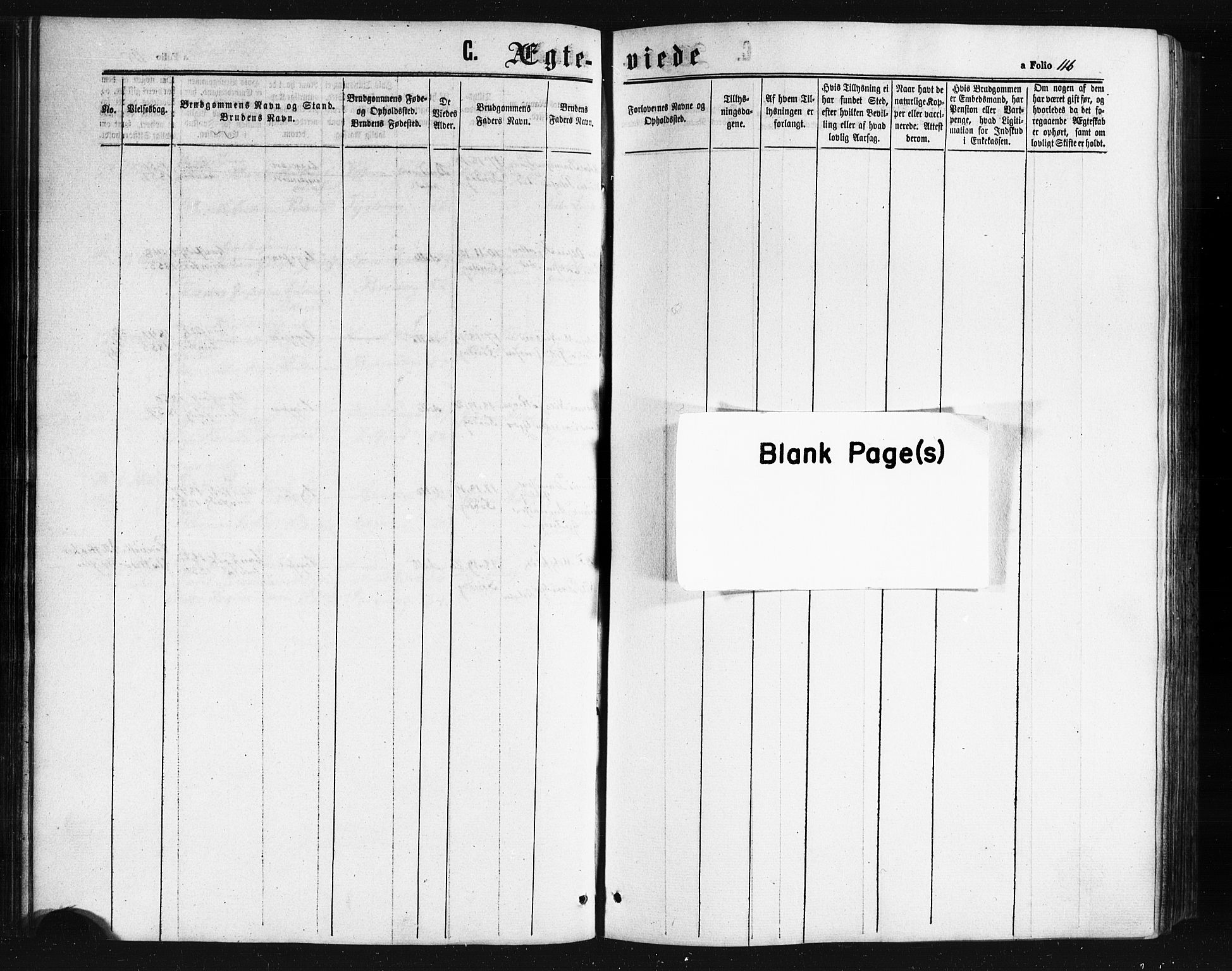 Ministerialprotokoller, klokkerbøker og fødselsregistre - Nordland, AV/SAT-A-1459/841/L0607: Parish register (official) no. 841A11 /1, 1863-1877, p. 116