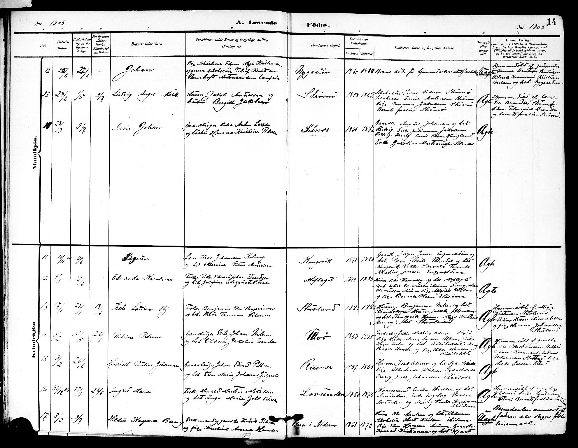Ministerialprotokoller, klokkerbøker og fødselsregistre - Nordland, SAT/A-1459/839/L0569: Parish register (official) no. 839A06, 1903-1922, p. 14