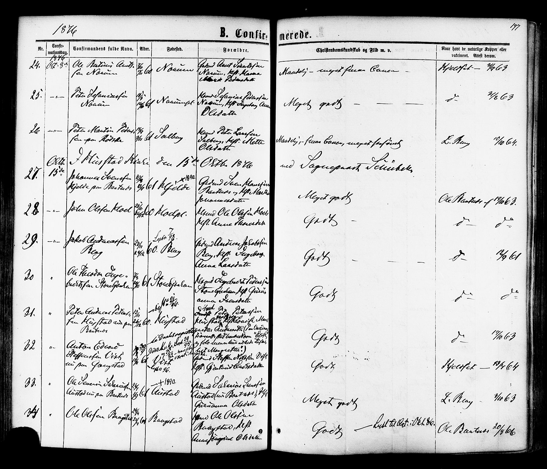 Ministerialprotokoller, klokkerbøker og fødselsregistre - Nord-Trøndelag, AV/SAT-A-1458/730/L0284: Parish register (official) no. 730A09, 1866-1878, p. 197