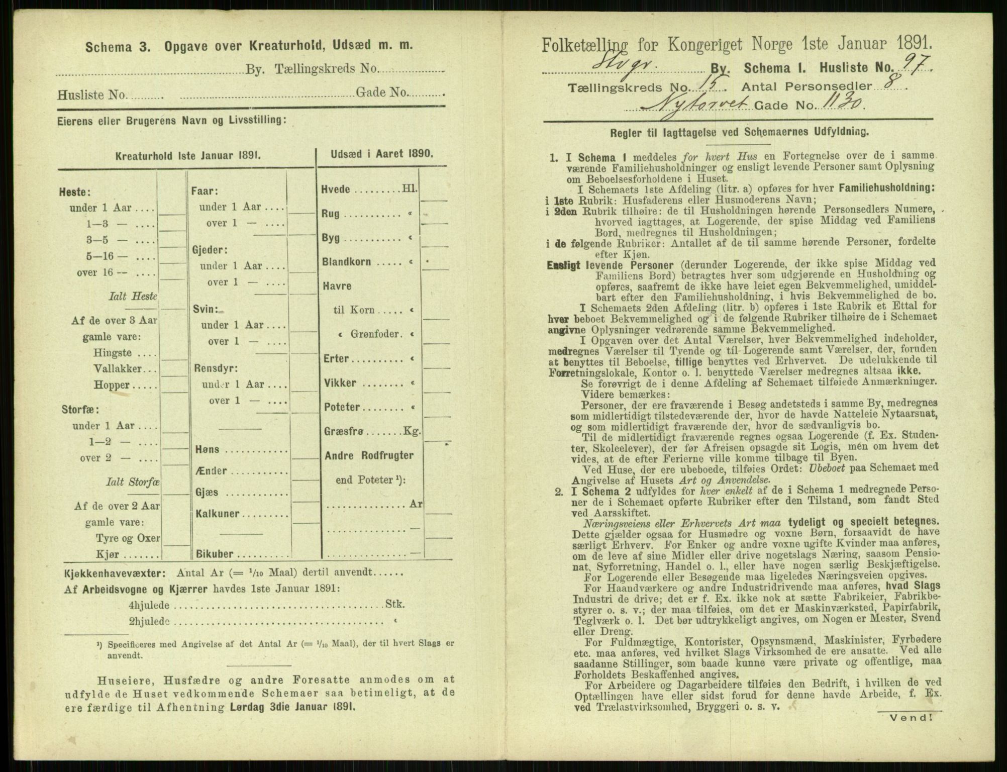 RA, 1891 census for 1103 Stavanger, 1891, p. 2981