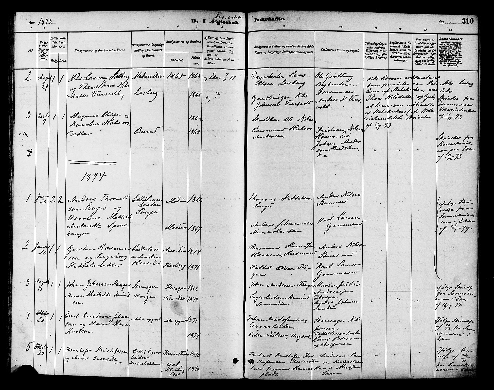 Eiker kirkebøker, SAKO/A-4/F/Fb/L0002: Parish register (official) no. II 2, 1889-1896, p. 310