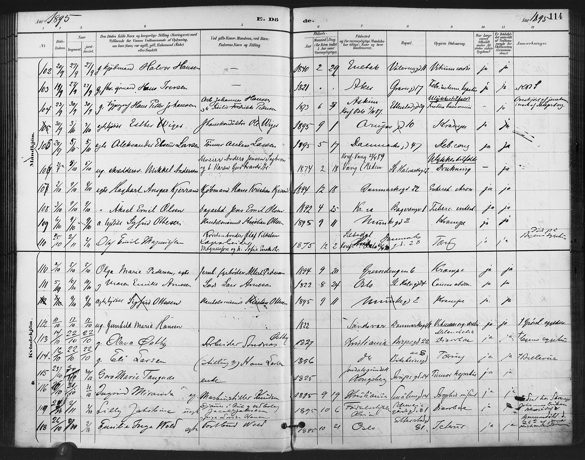 Gamlebyen prestekontor Kirkebøker, AV/SAO-A-10884/F/Fa/L0009: Parish register (official) no. 9, 1888-1909, p. 114