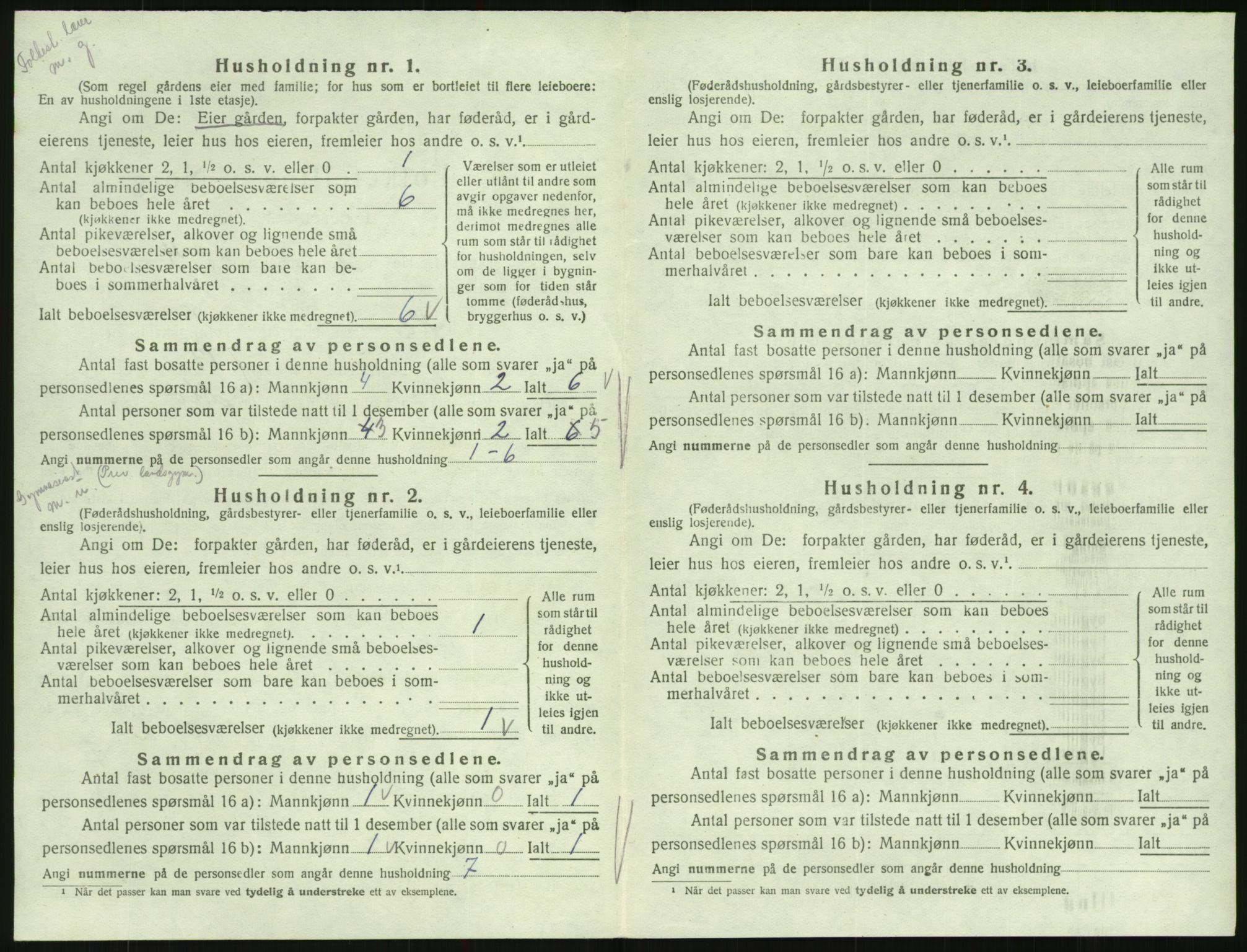 SAK, 1920 census for Hornnes, 1920, p. 294