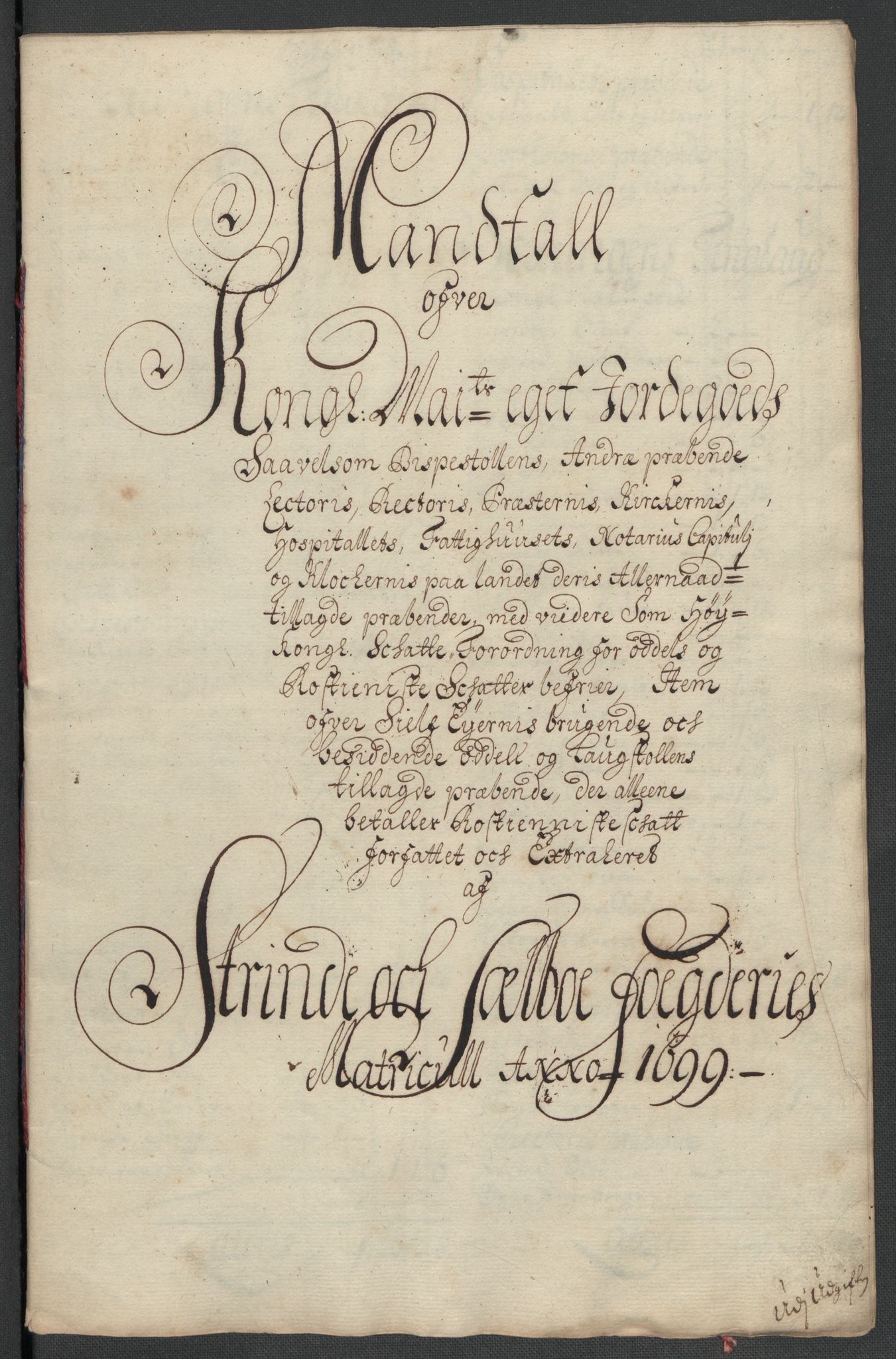 Rentekammeret inntil 1814, Reviderte regnskaper, Fogderegnskap, AV/RA-EA-4092/R61/L4107: Fogderegnskap Strinda og Selbu, 1698-1700, p. 292