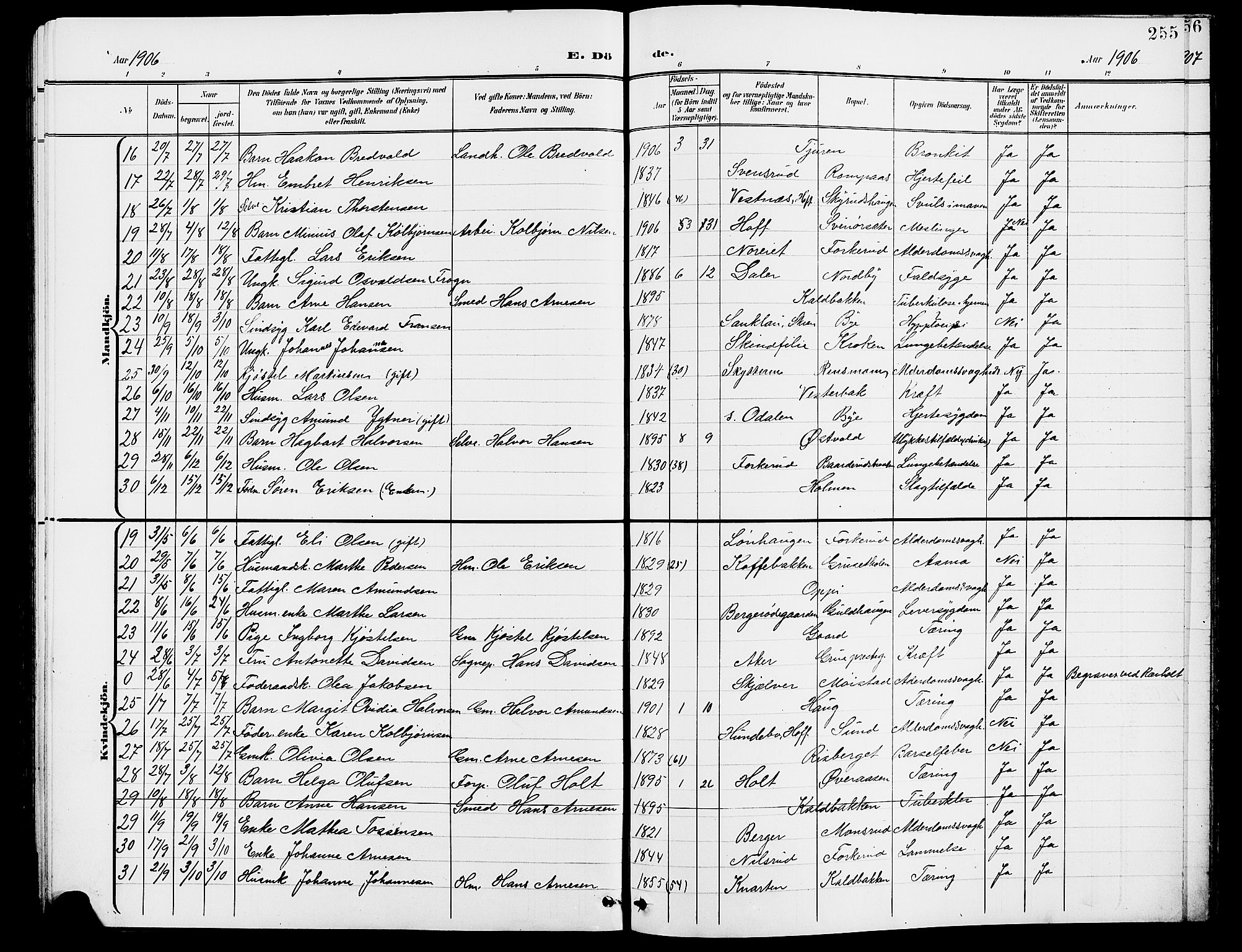 Grue prestekontor, SAH/PREST-036/H/Ha/Hab/L0005: Parish register (copy) no. 5, 1900-1909, p. 255