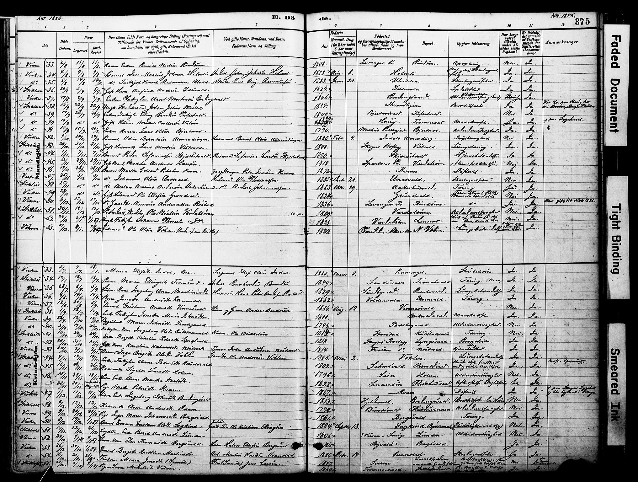 Ministerialprotokoller, klokkerbøker og fødselsregistre - Nord-Trøndelag, AV/SAT-A-1458/723/L0244: Parish register (official) no. 723A13, 1881-1899, p. 375