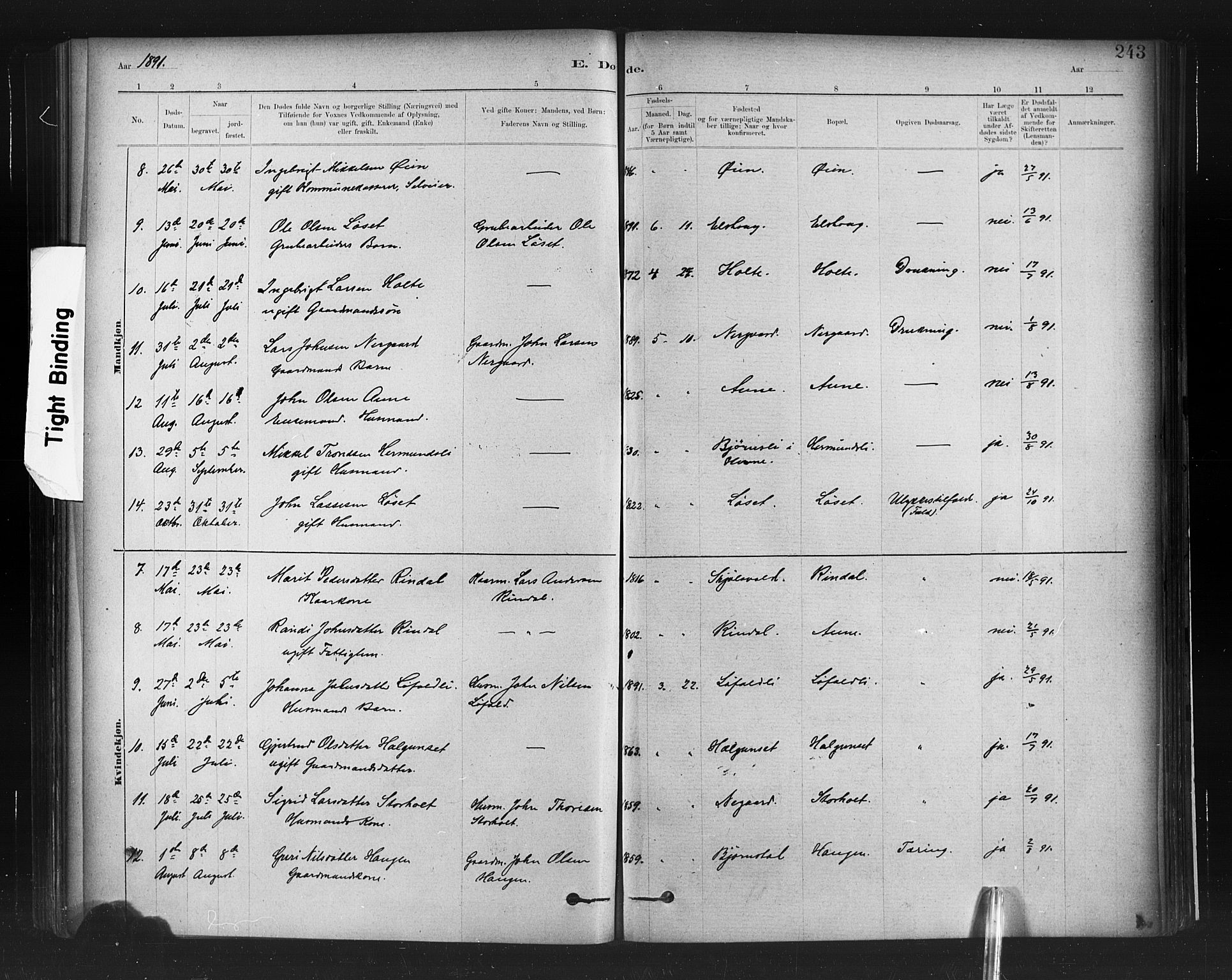 Ministerialprotokoller, klokkerbøker og fødselsregistre - Møre og Romsdal, AV/SAT-A-1454/598/L1069: Parish register (official) no. 598A03, 1882-1895, p. 243