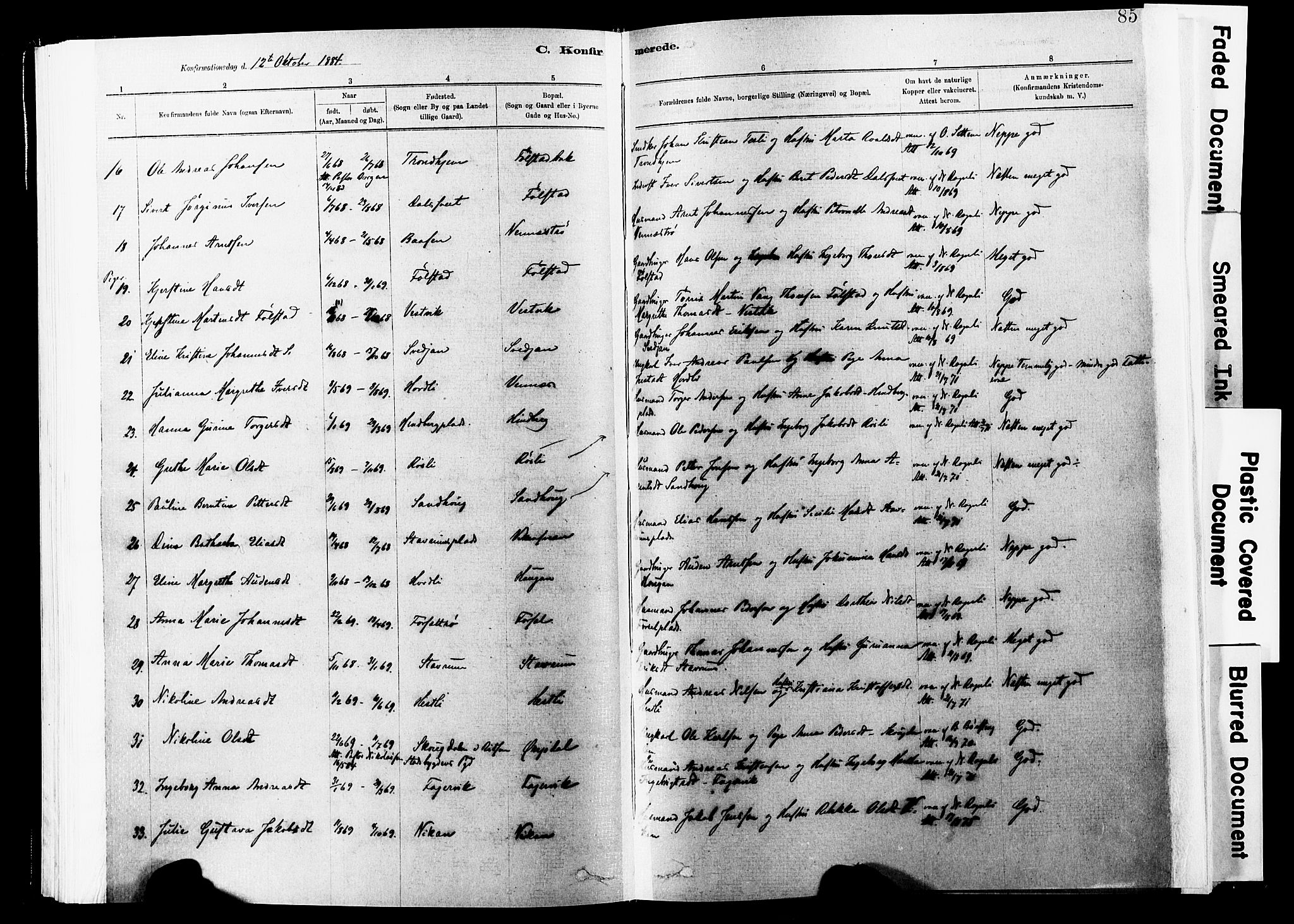 Ministerialprotokoller, klokkerbøker og fødselsregistre - Nord-Trøndelag, AV/SAT-A-1458/744/L0420: Parish register (official) no. 744A04, 1882-1904, p. 85