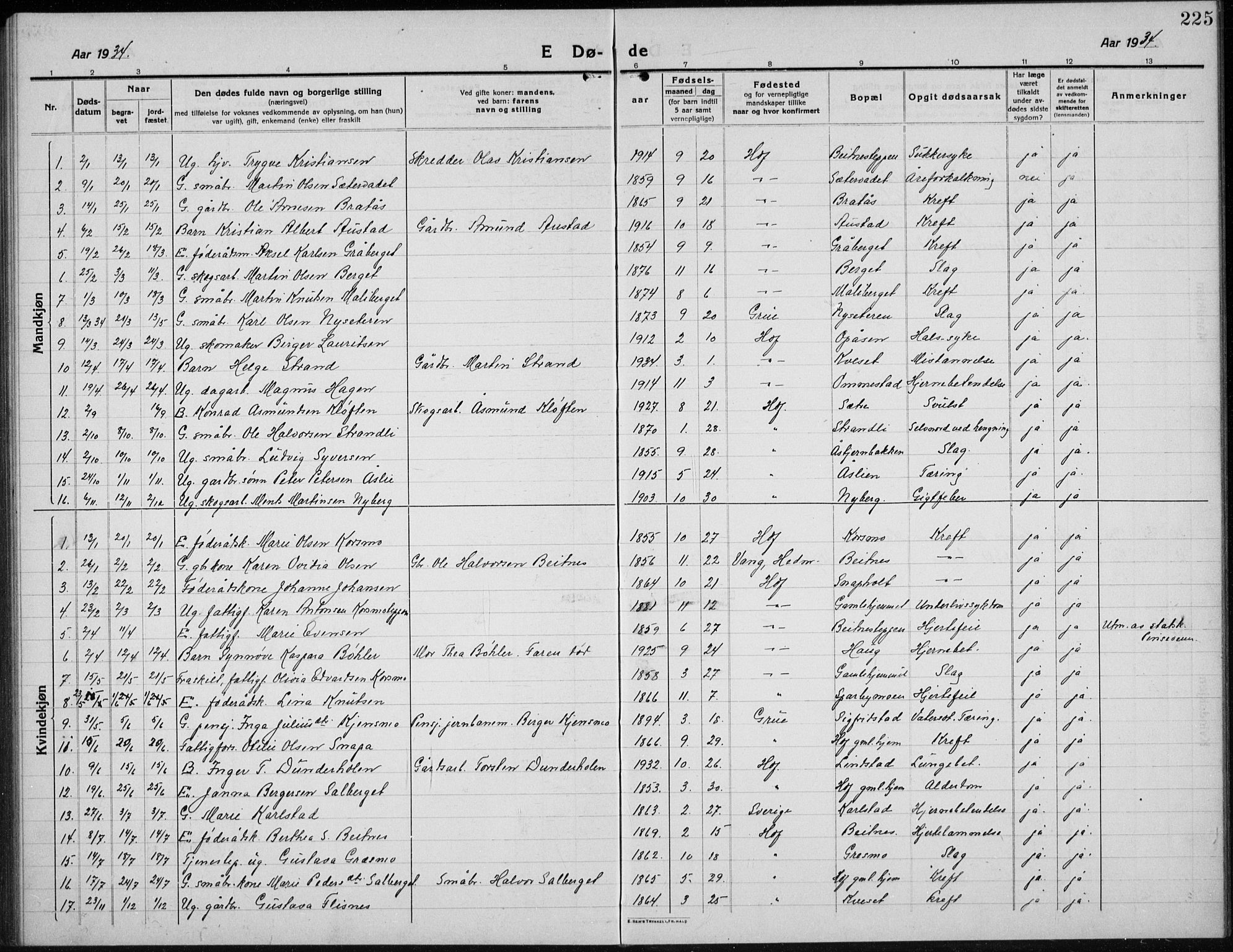 Hof prestekontor, SAH/PREST-038/H/Ha/Hab/L0002: Parish register (copy) no. 2, 1915-1934, p. 225