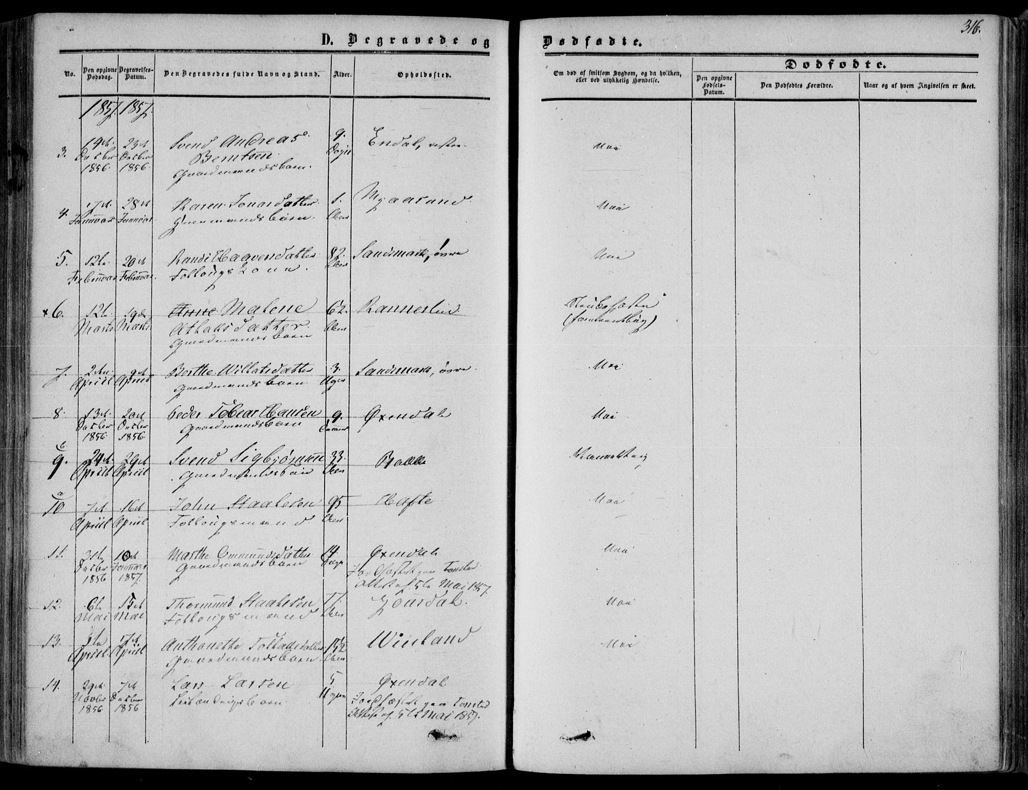 Bakke sokneprestkontor, AV/SAK-1111-0002/F/Fa/Faa/L0006: Parish register (official) no. A 6, 1855-1877, p. 316