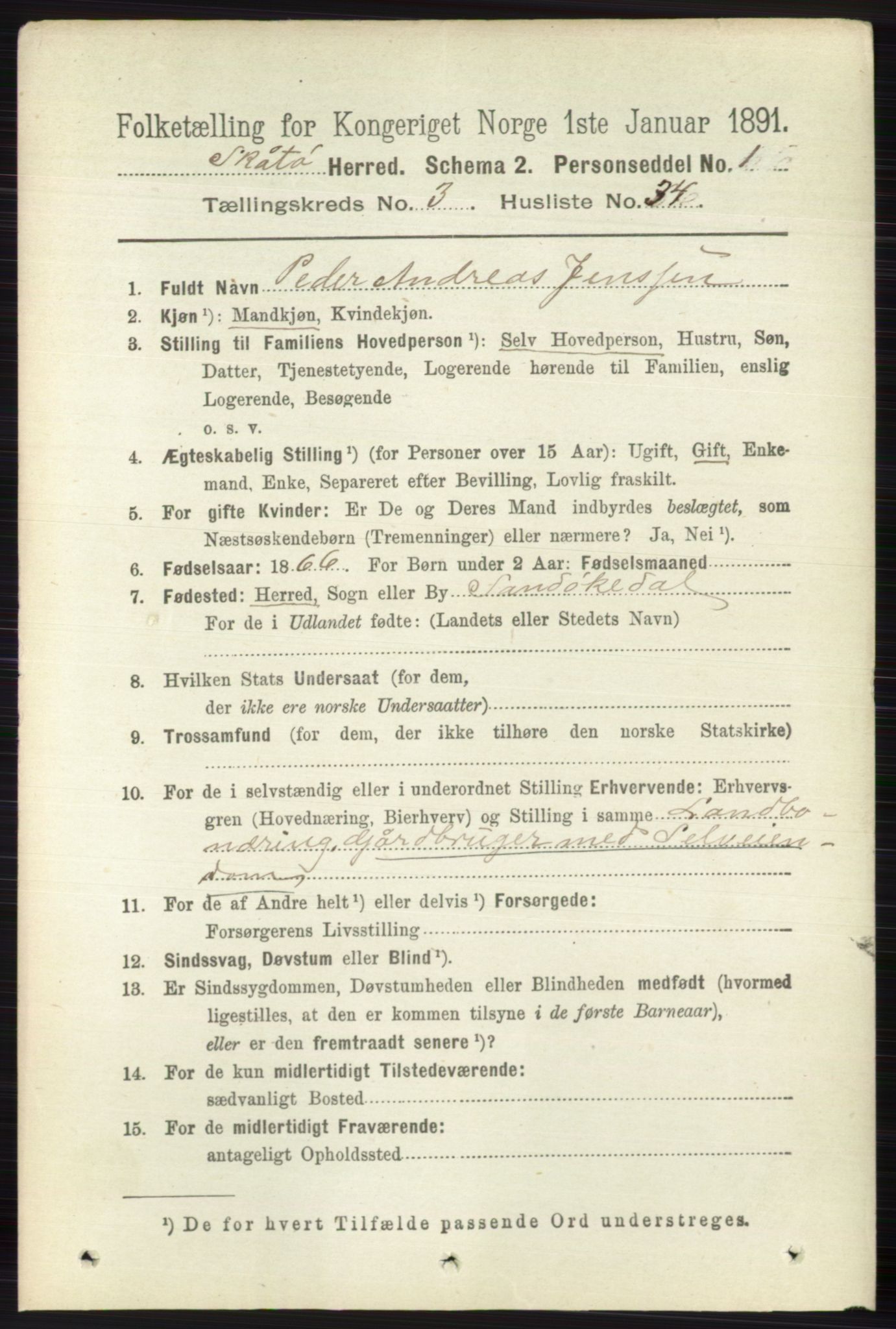 RA, 1891 census for 0815 Skåtøy, 1891, p. 663