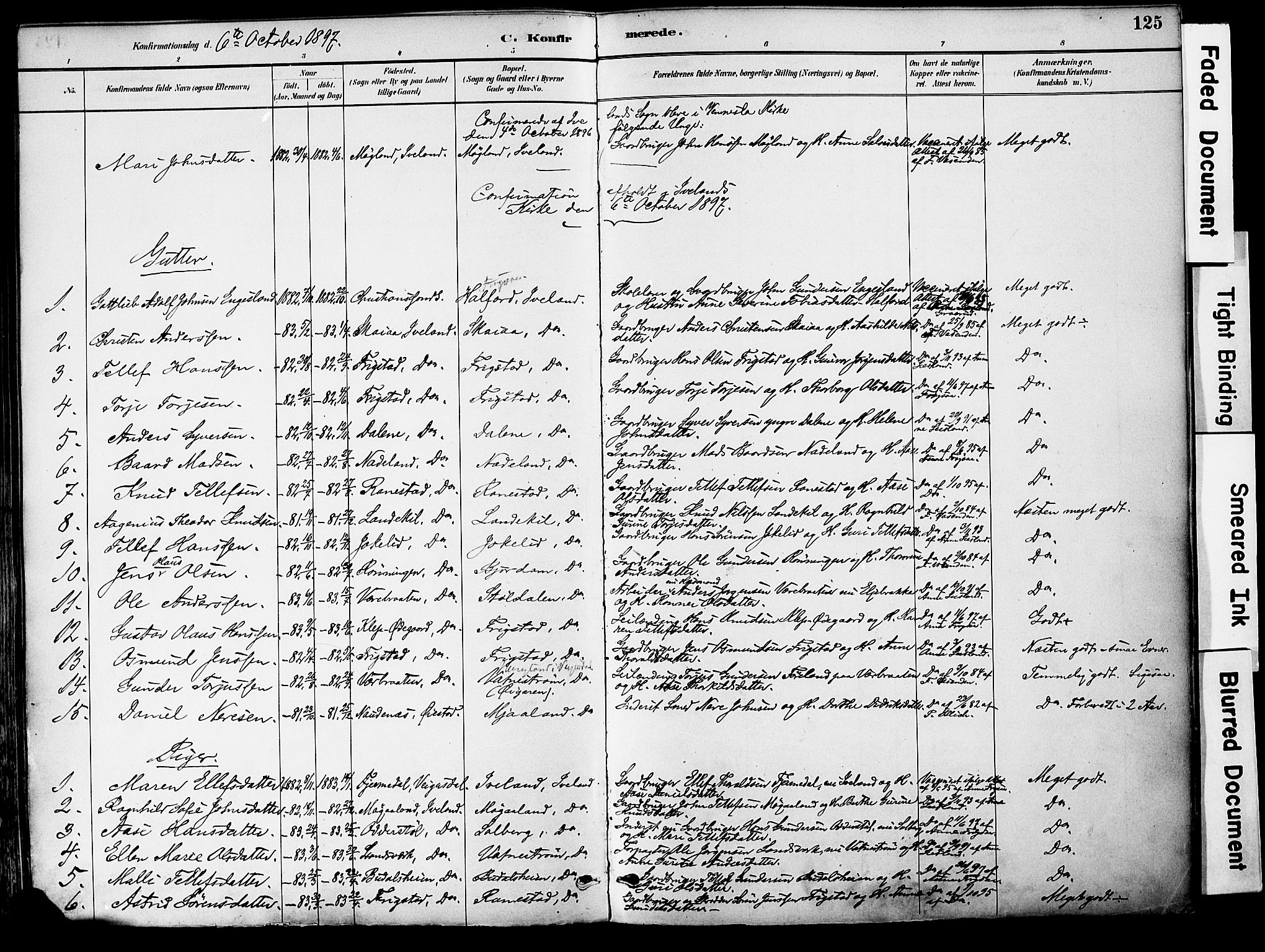 Evje sokneprestkontor, AV/SAK-1111-0008/F/Fa/Fac/L0003: Parish register (official) no. A 3, 1884-1909, p. 125