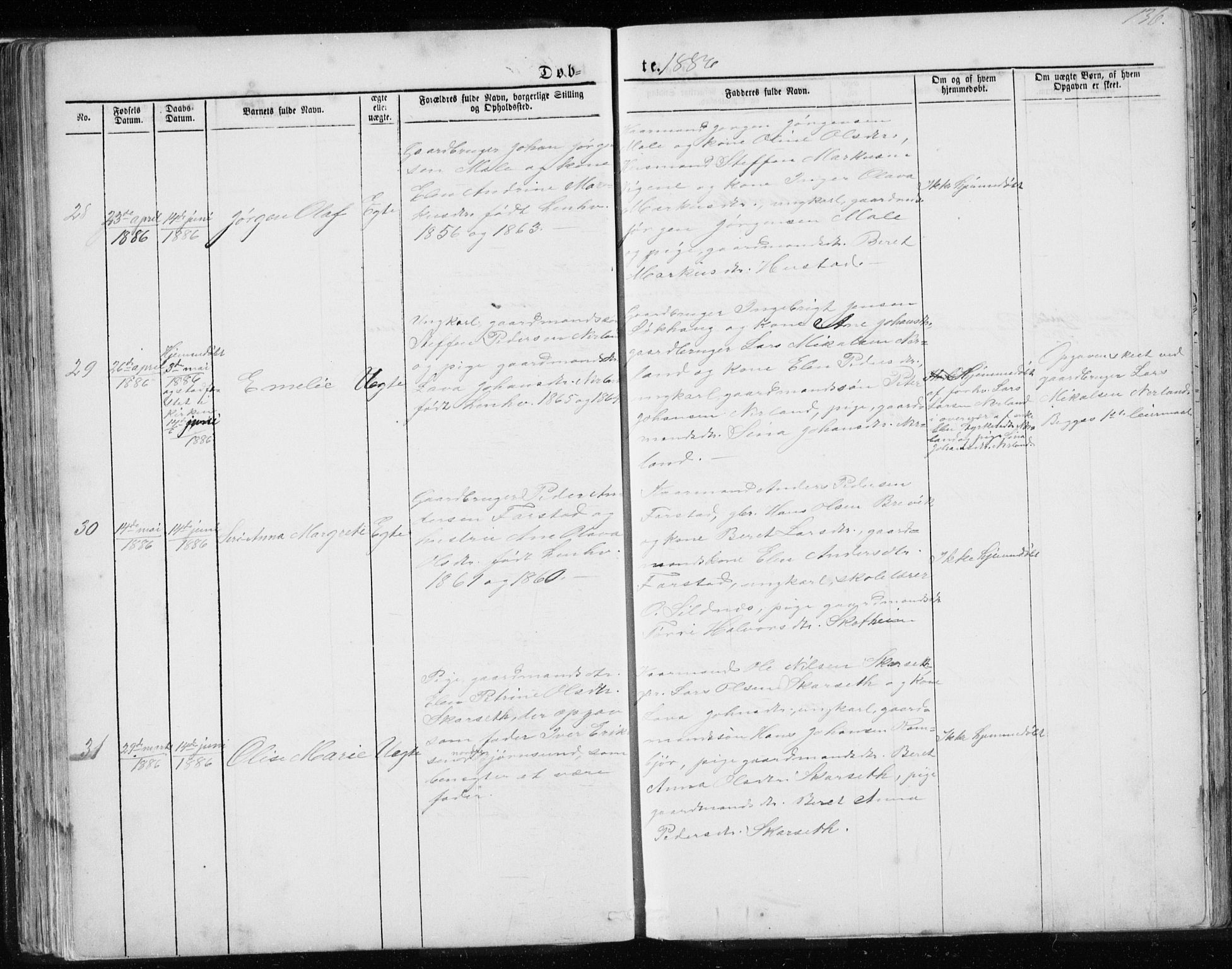 Ministerialprotokoller, klokkerbøker og fødselsregistre - Møre og Romsdal, AV/SAT-A-1454/567/L0782: Parish register (copy) no. 567C02, 1867-1886, p. 136