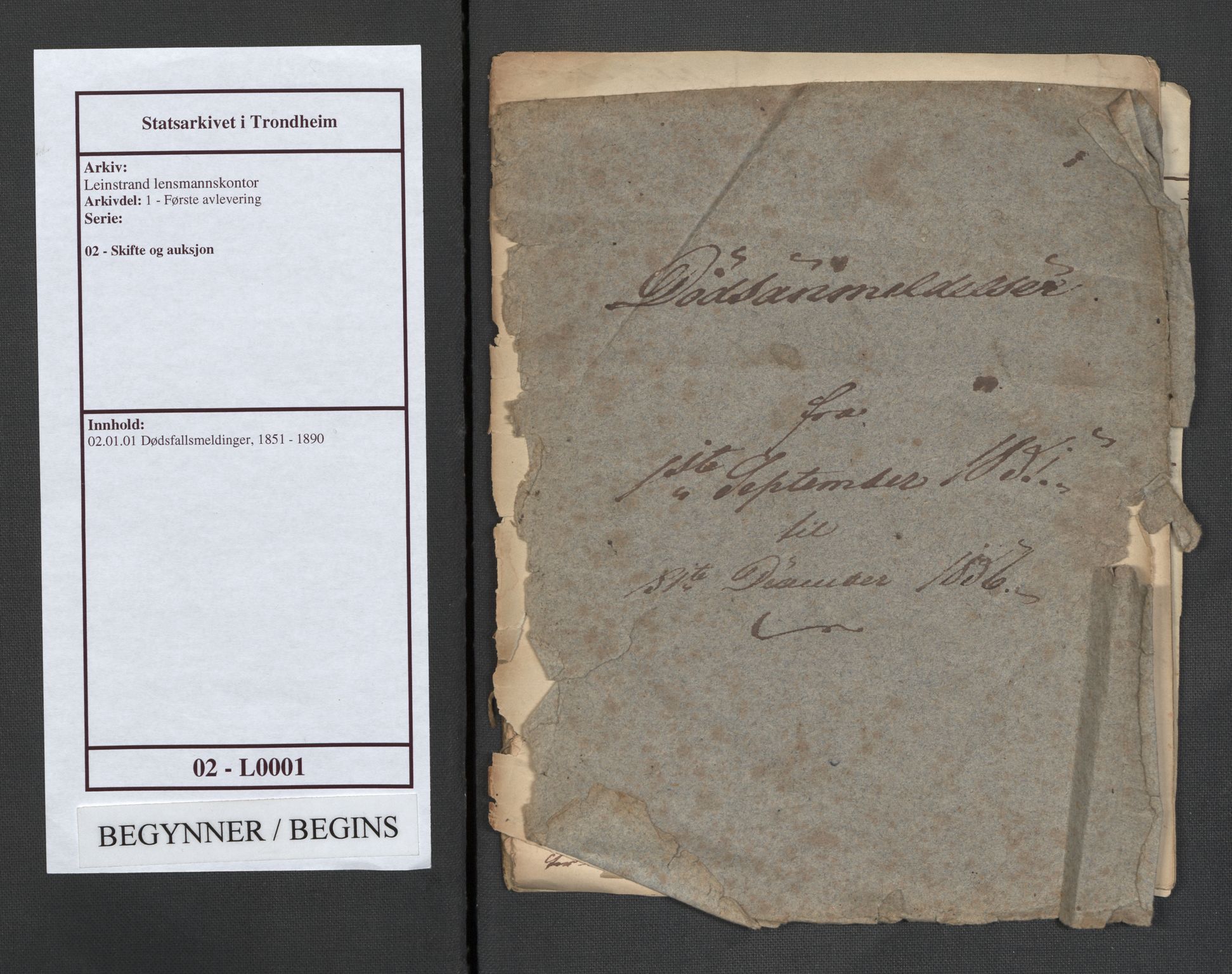 Leinstrand lensmannskontor, SAT/A-1060/1/02/L0001: 02.01.01 Dødsfallsmeldinger, 1851-1890