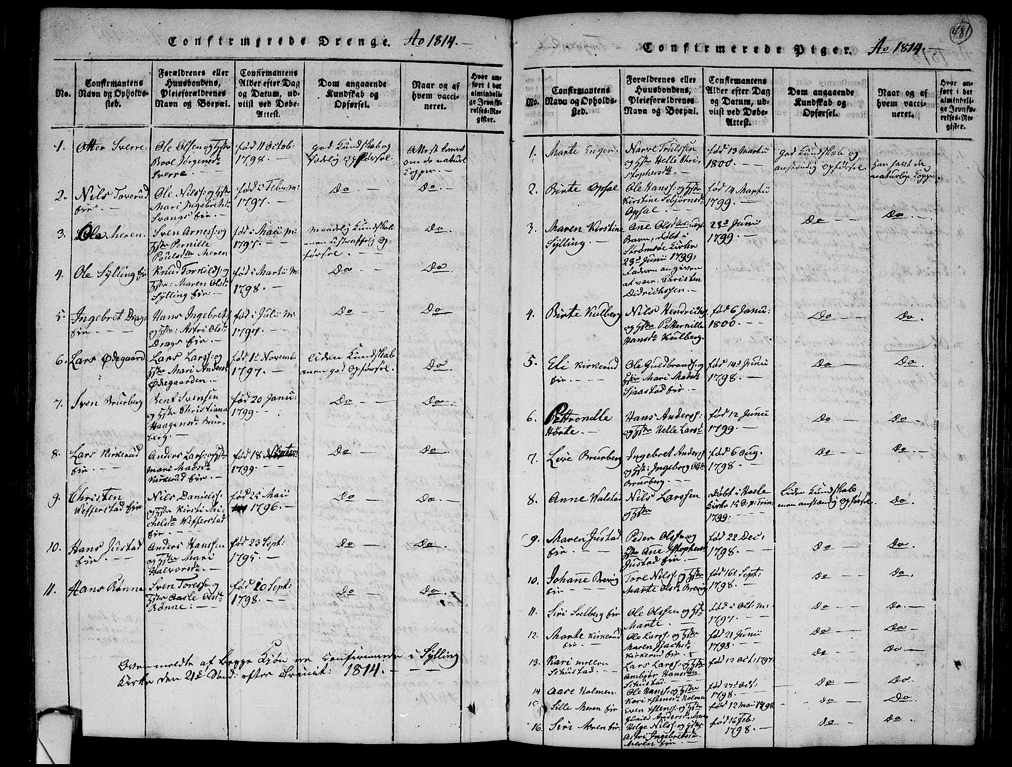 Lier kirkebøker, AV/SAKO-A-230/F/Fa/L0008: Parish register (official) no. I 8, 1813-1825, p. 480-481