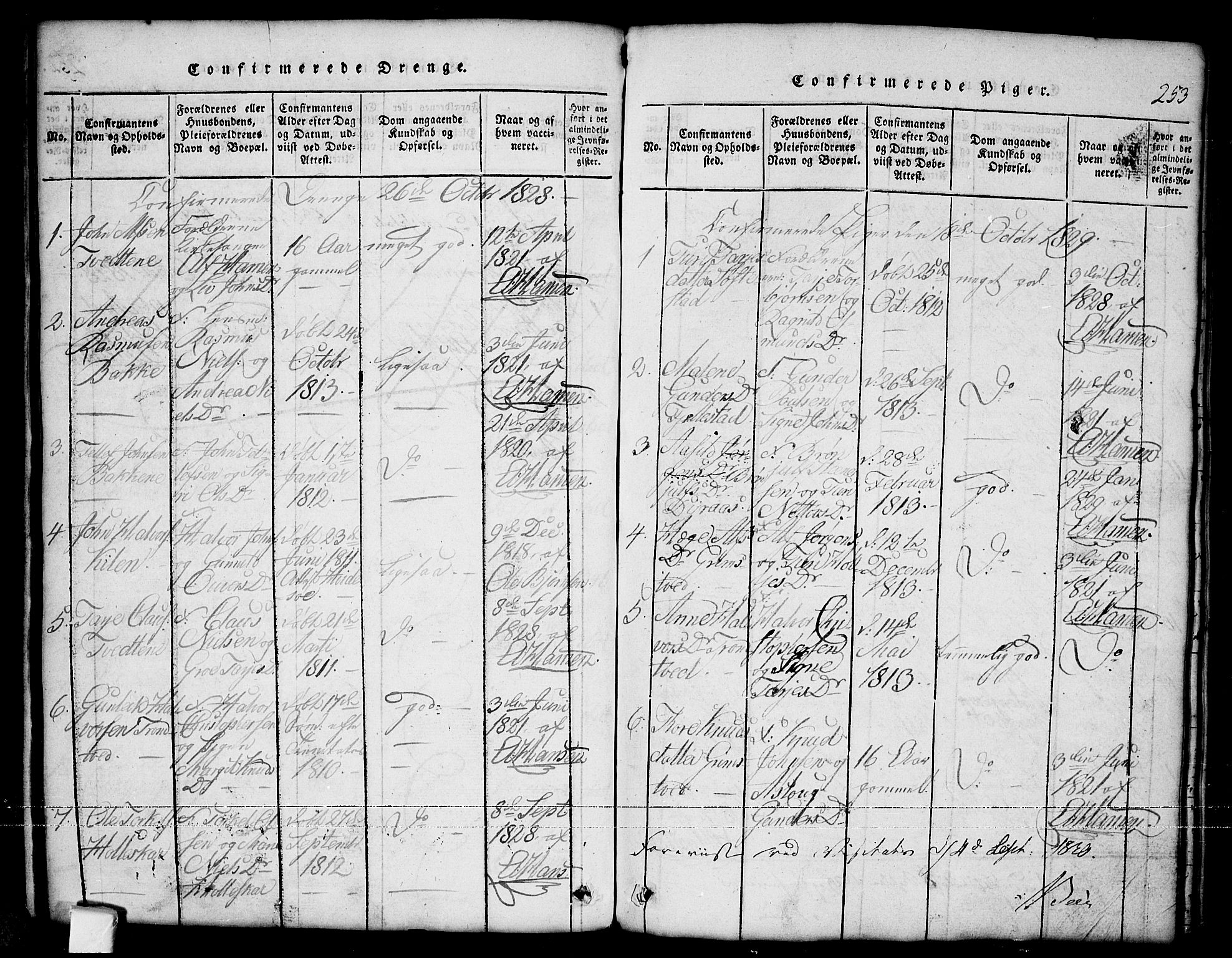 Nissedal kirkebøker, AV/SAKO-A-288/G/Ga/L0001: Parish register (copy) no. I 1, 1814-1860, p. 253